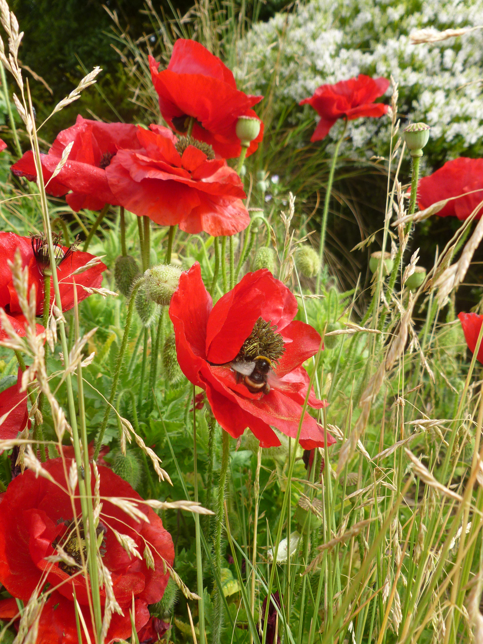 Panasonic DMC-FH25 sample photo. 1417.jpg photography