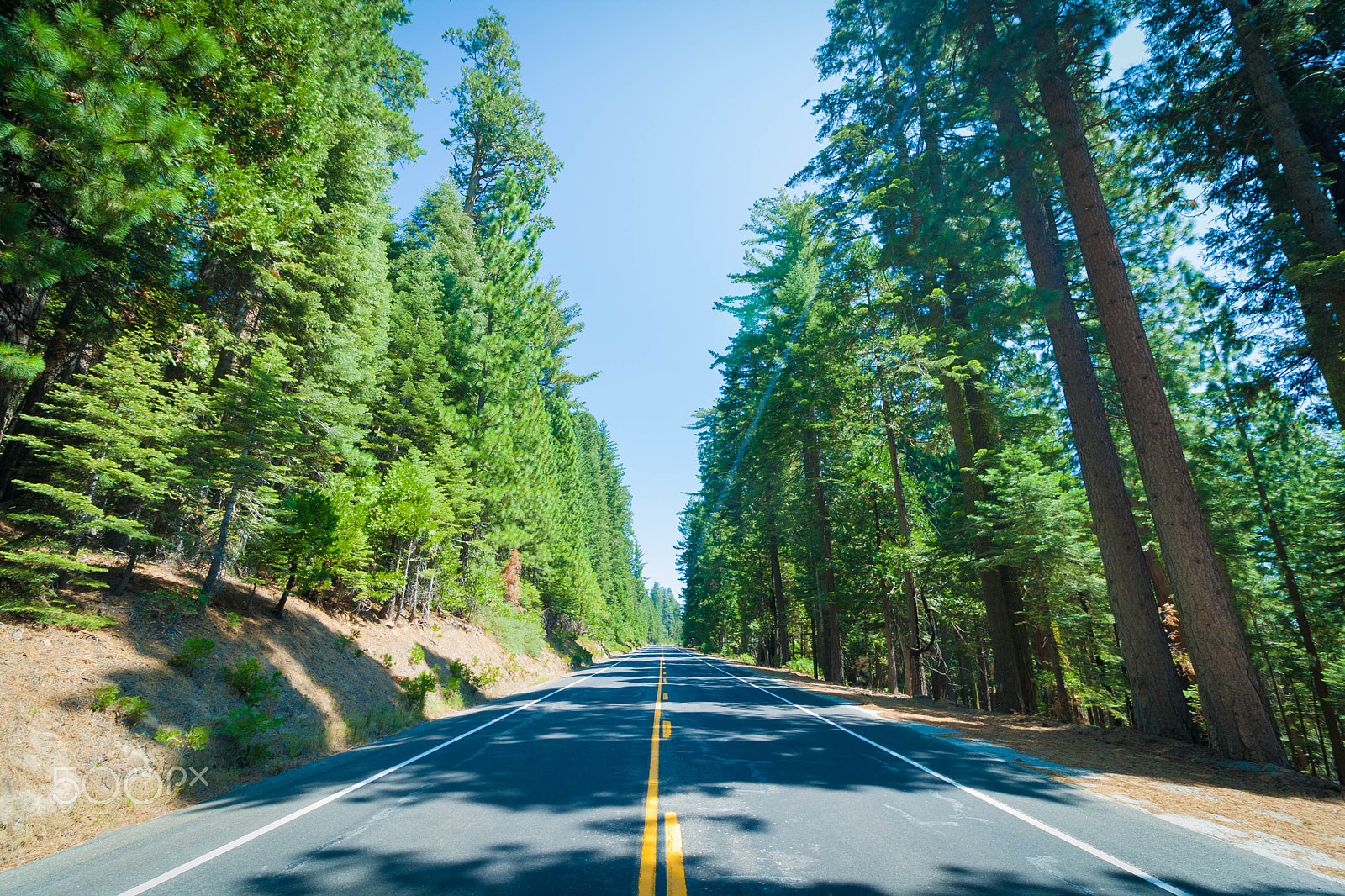 Canon EF-S 10-18mm F4.5–5.6 IS STM sample photo. Road and trees photography