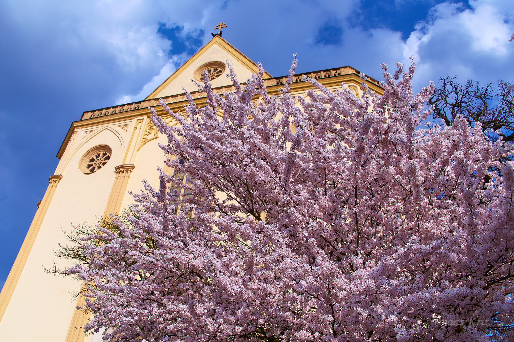 Tamron 28-300mm F3.5-6.3 Di VC PZD sample photo. Tree blossom and church photography