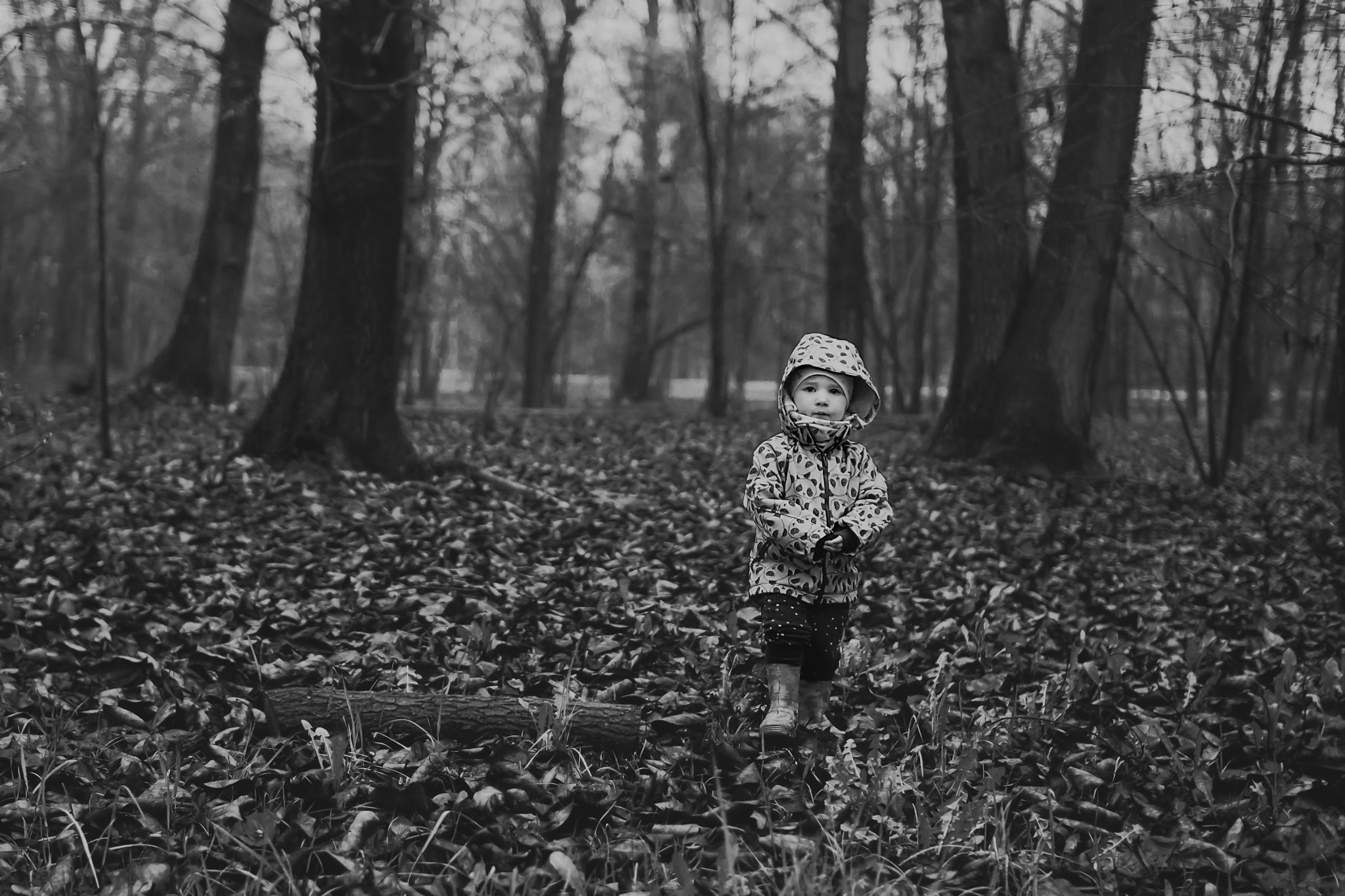 Sigma 30mm F1.4 EX DC HSM sample photo. Kalina photography