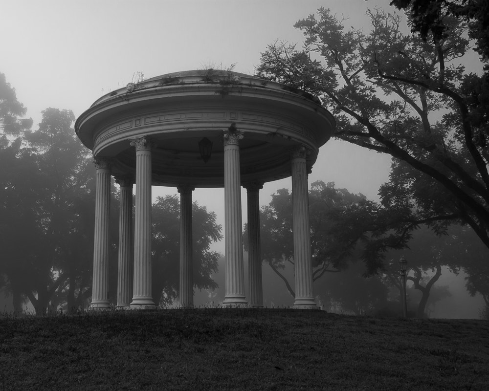 Nikon D70 sample photo. Untitled iv photography