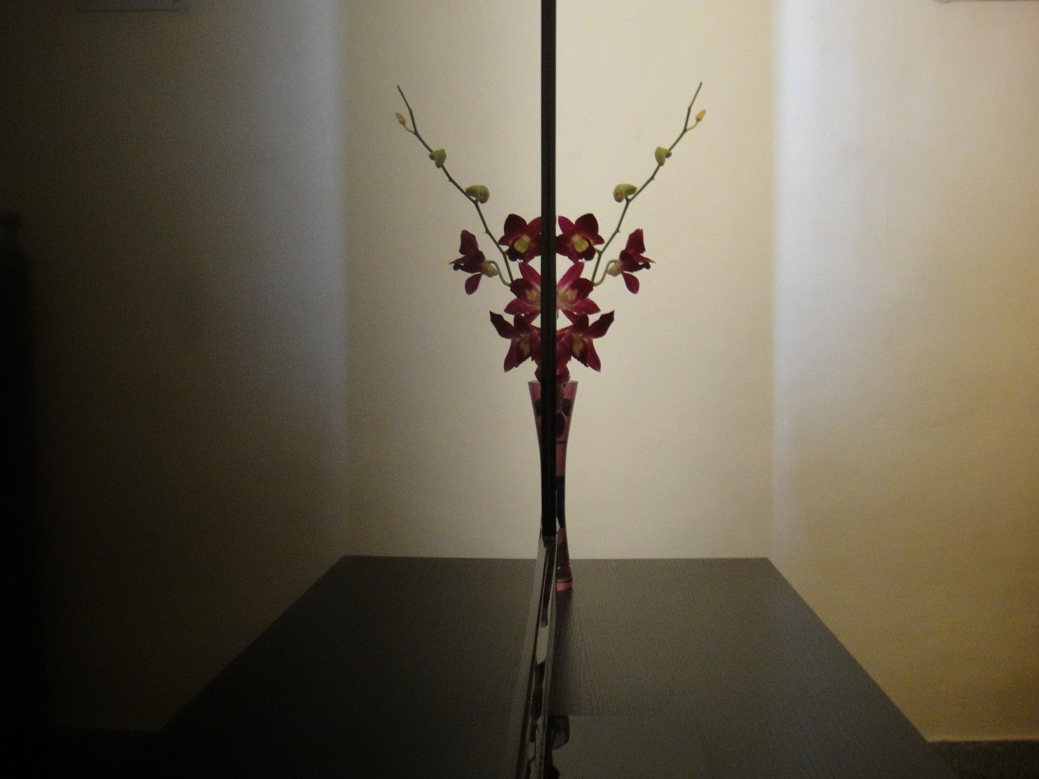 Sony DSC-TX1 sample photo. Reflection of a flower vase kept adjacent to a tv screen. photography
