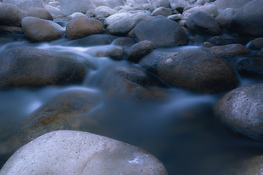 Sigma SD14 sample photo
