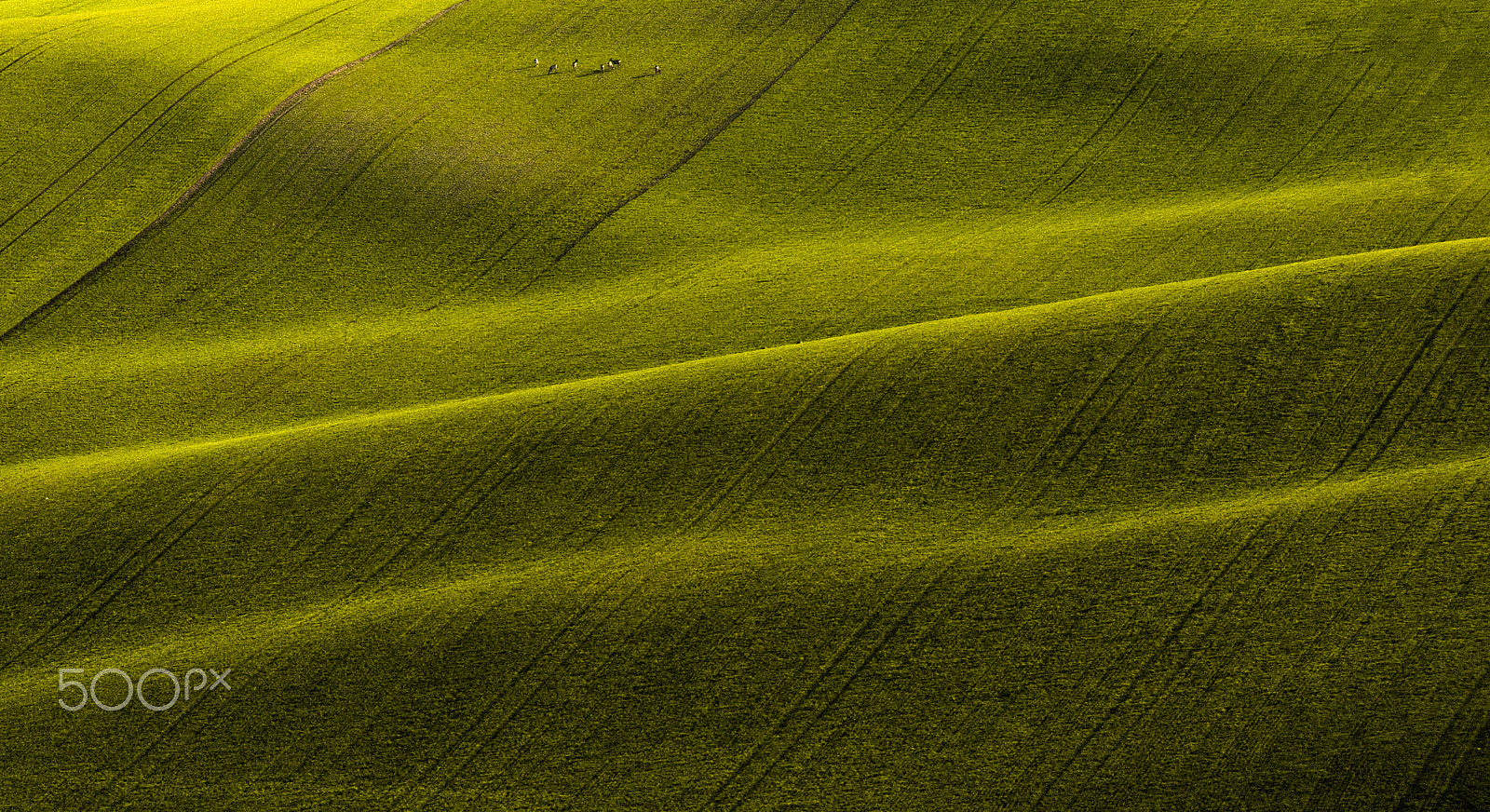 AF-S Zoom-Nikkor 80-200mm f/2.8D IF-ED sample photo. Moravian waves v. photography