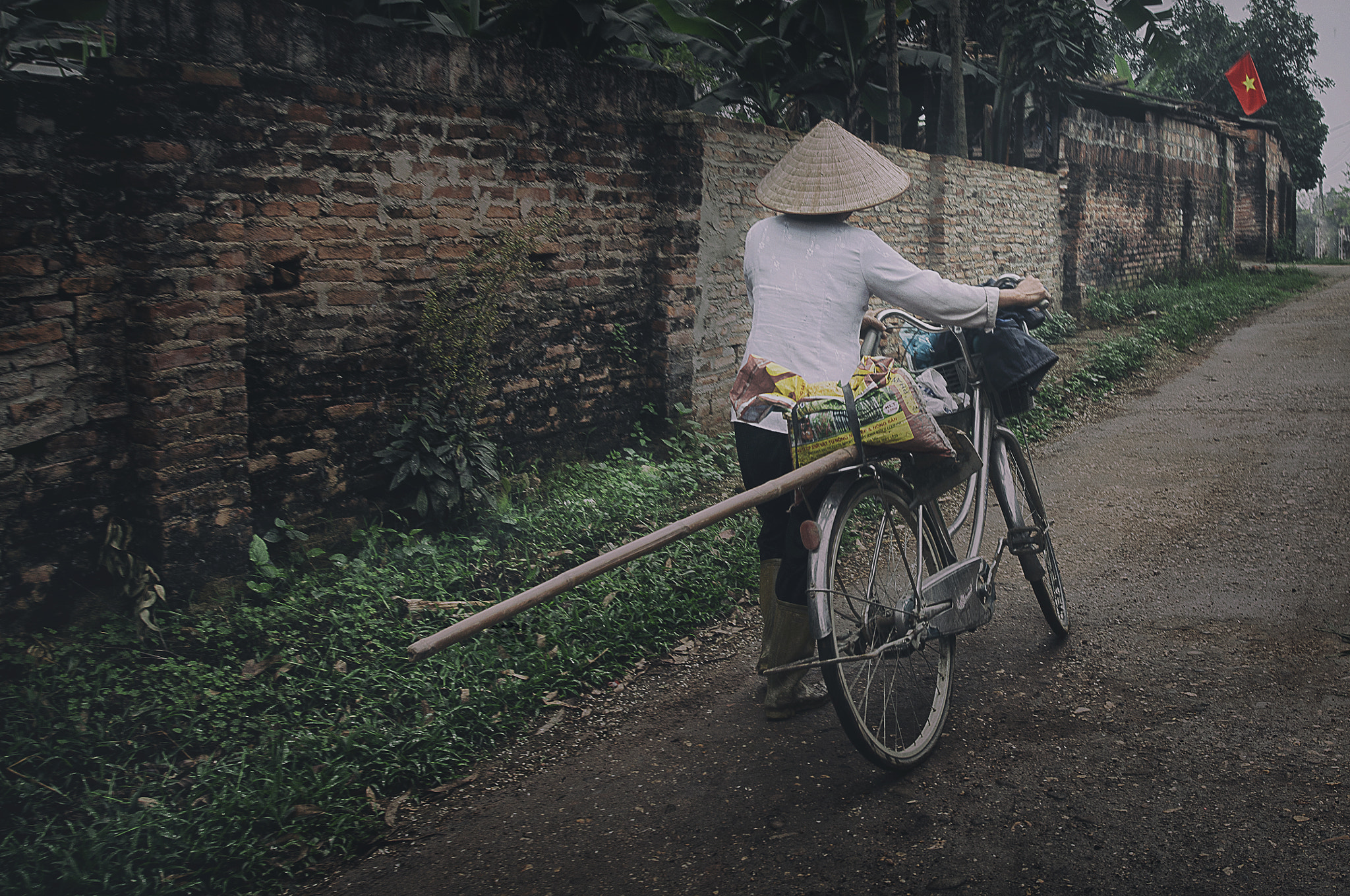 Sigma 24-35mm F2 DG HSM Art sample photo. A women back to her home after hard day of working on farm, this is the normal day in viatnam. photography