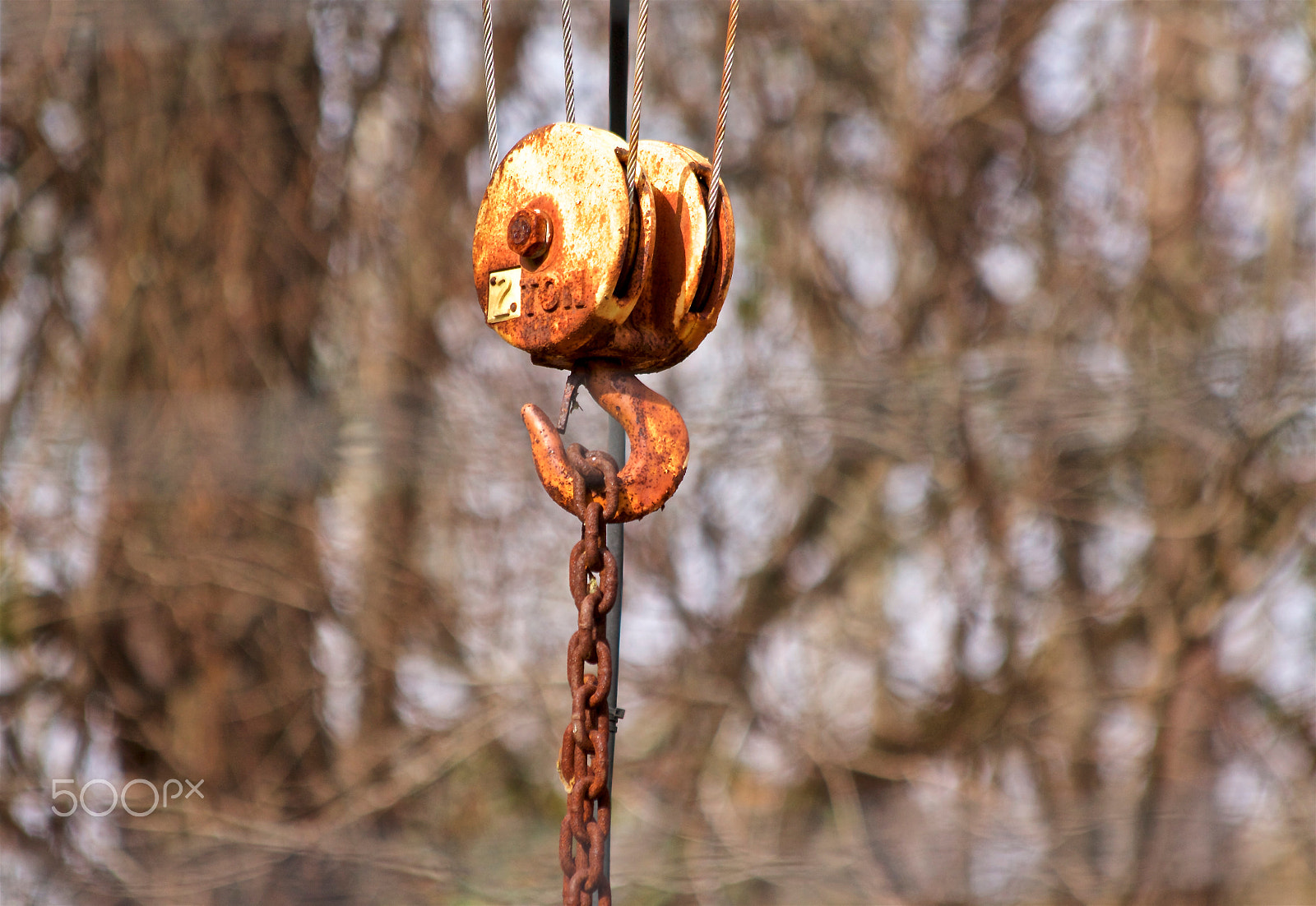 Canon EOS 650D (EOS Rebel T4i / EOS Kiss X6i) sample photo. Ton rust photography