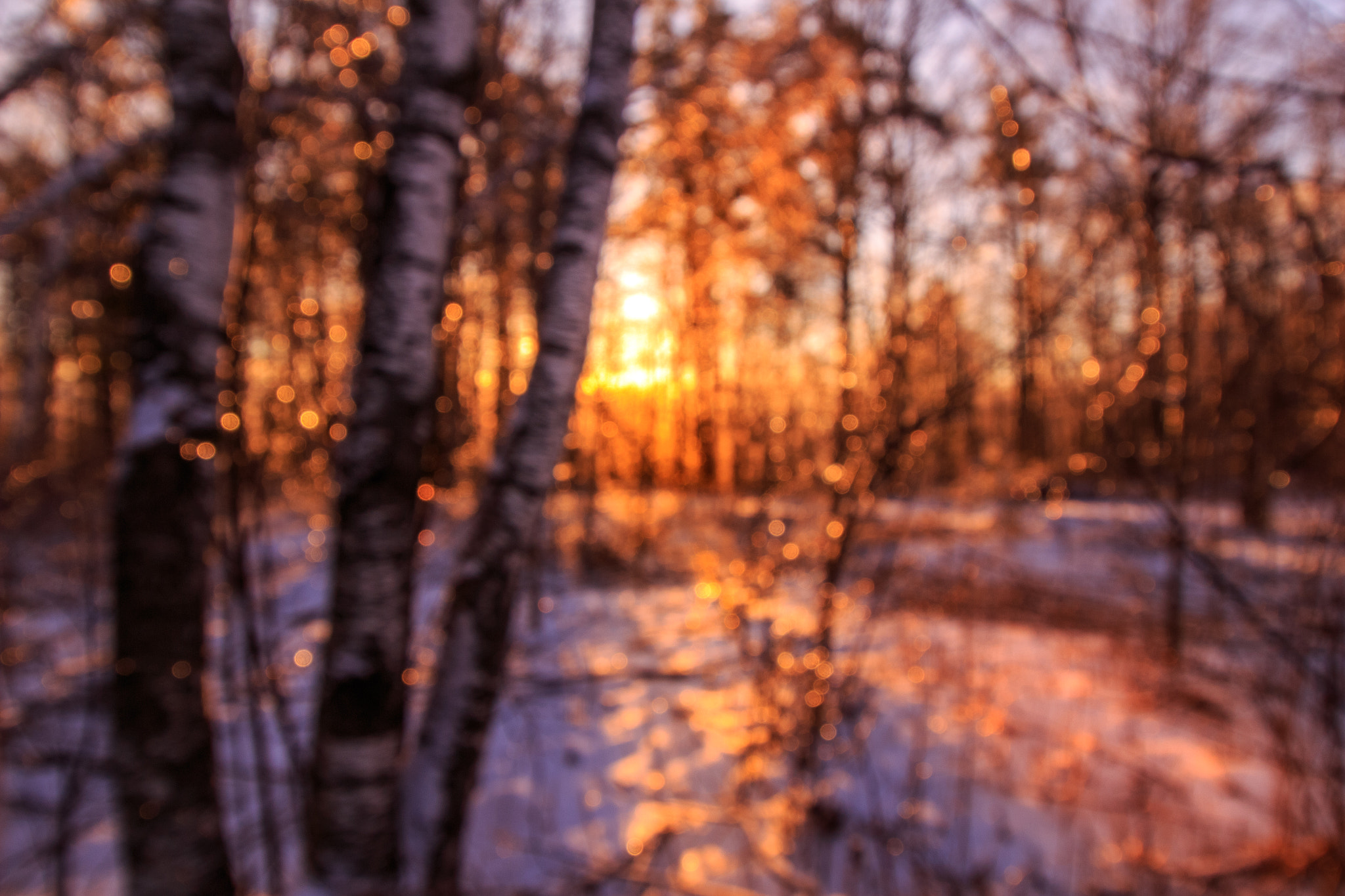 Canon EF-S 10-18mm F4.5–5.6 IS STM sample photo. Morning wake photography