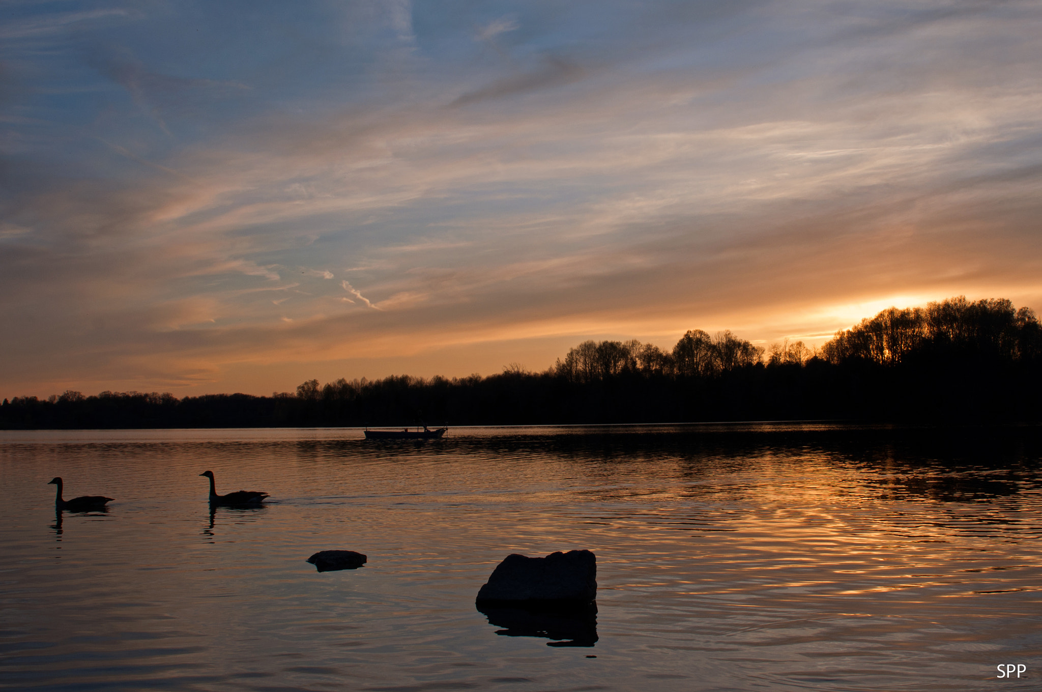 Tamron SP 24-70mm F2.8 Di VC USD sample photo. Geese at sunset photography