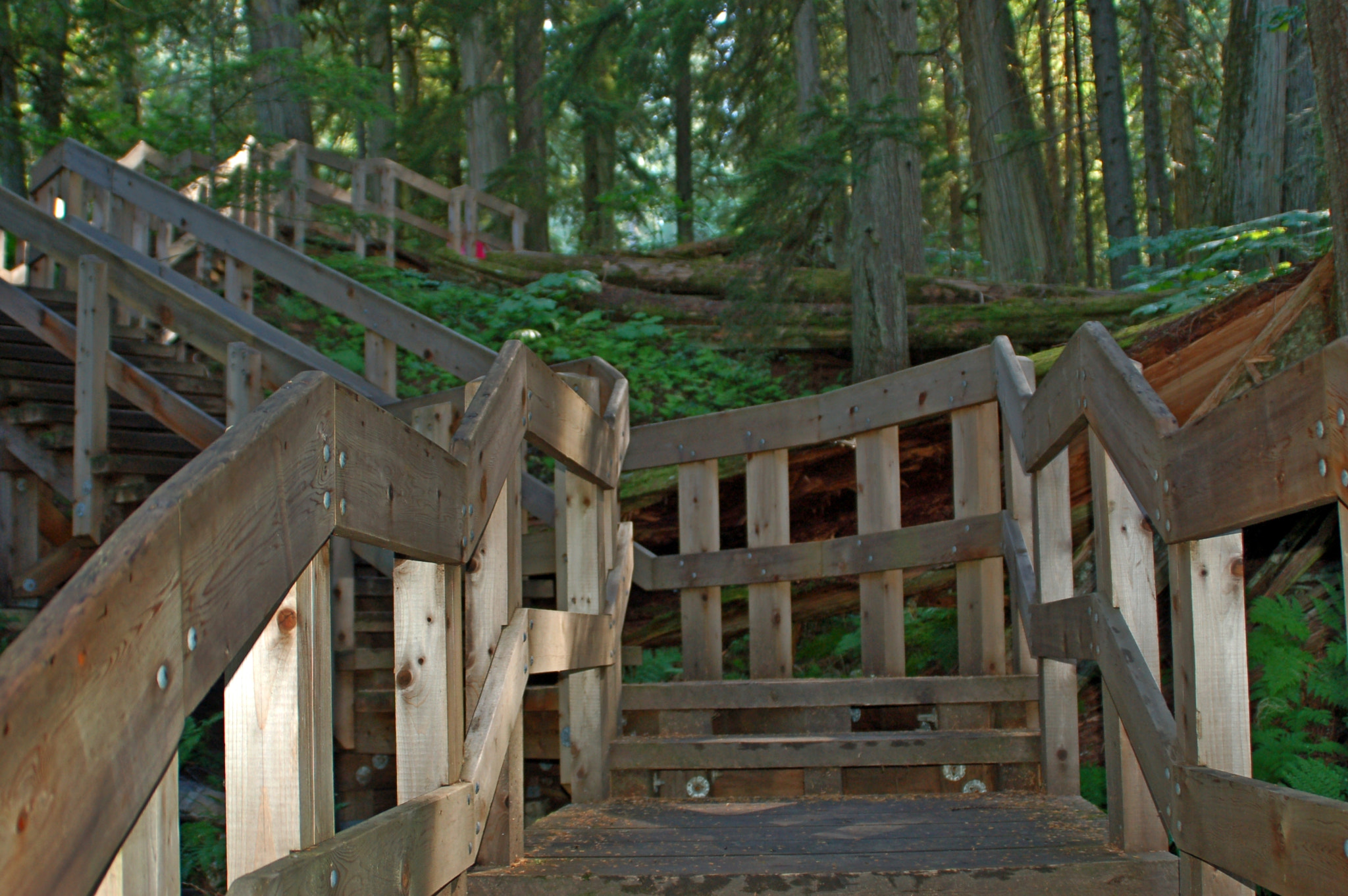 Nikon D50 sample photo. Stairway to heaven photography