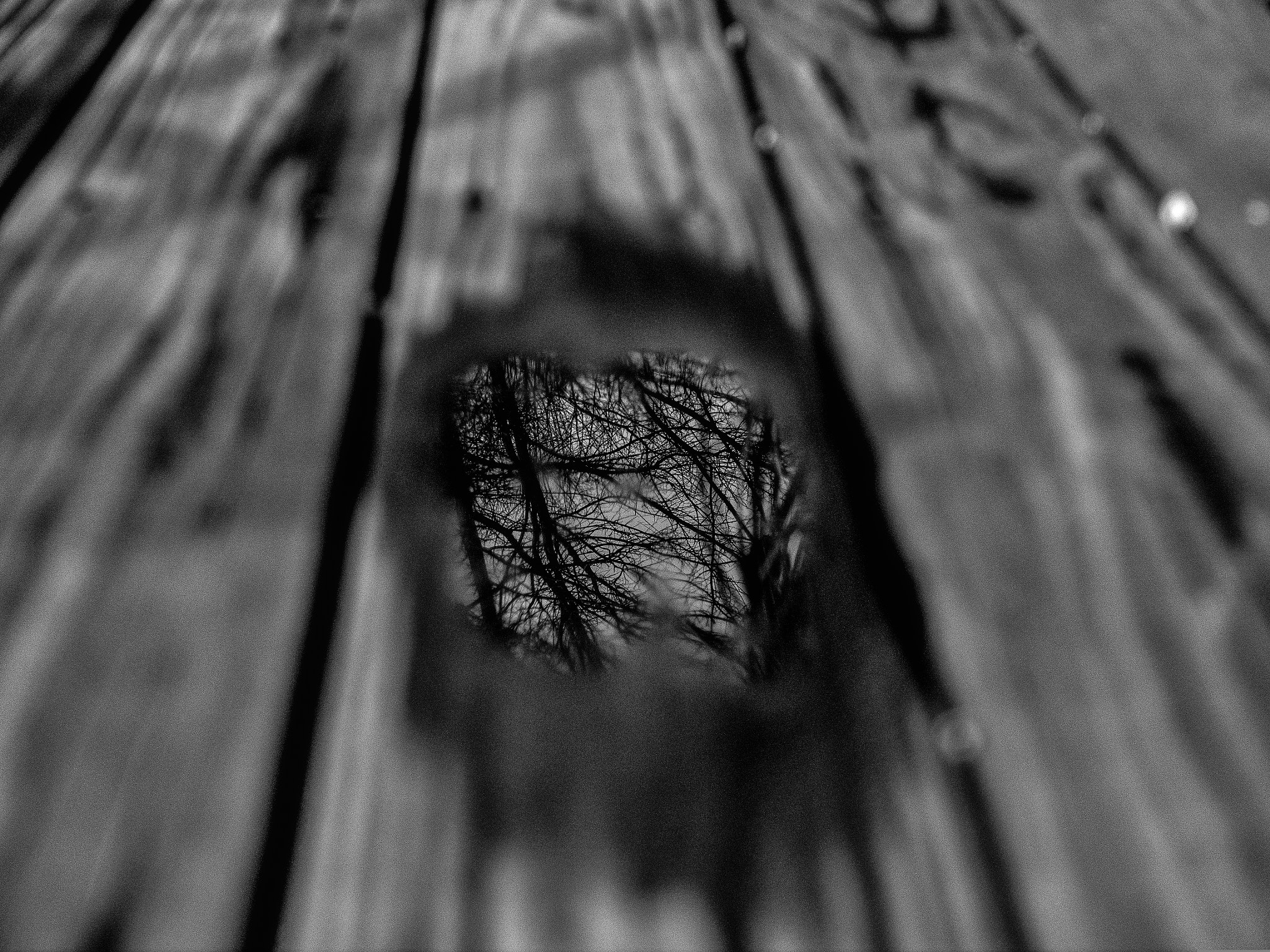 Olympus OM-D E-M1 + Panasonic Leica DG Summilux 25mm F1.4 II ASPH sample photo. Puddle on the deck photography