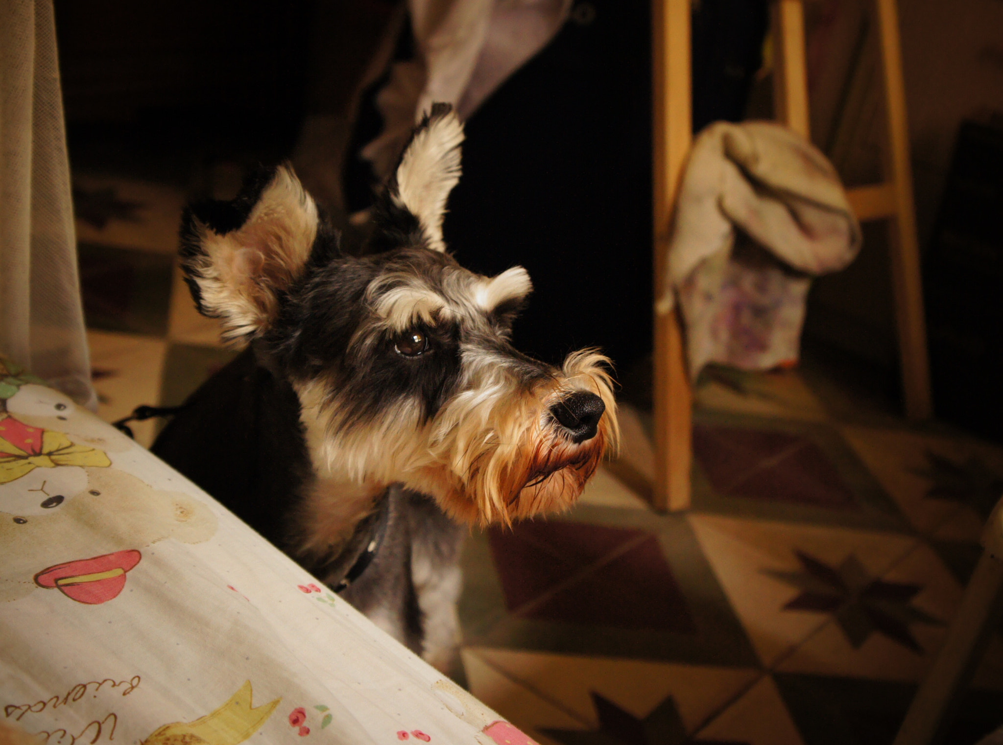 Sony NEX-5C sample photo