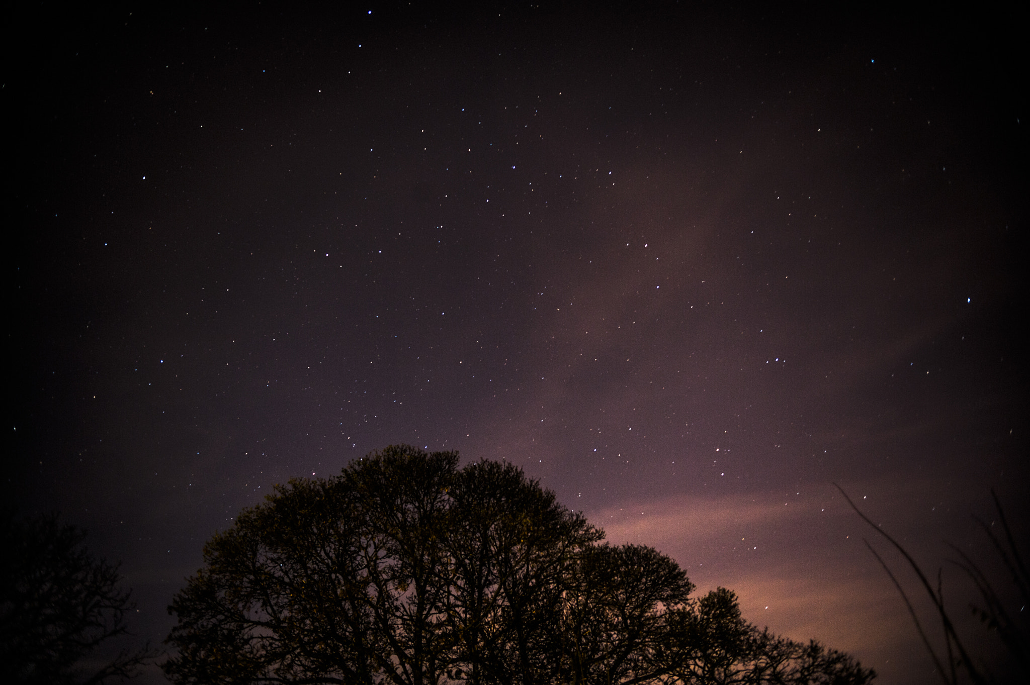 Nikon D3 sample photo. Sand in the sky photography