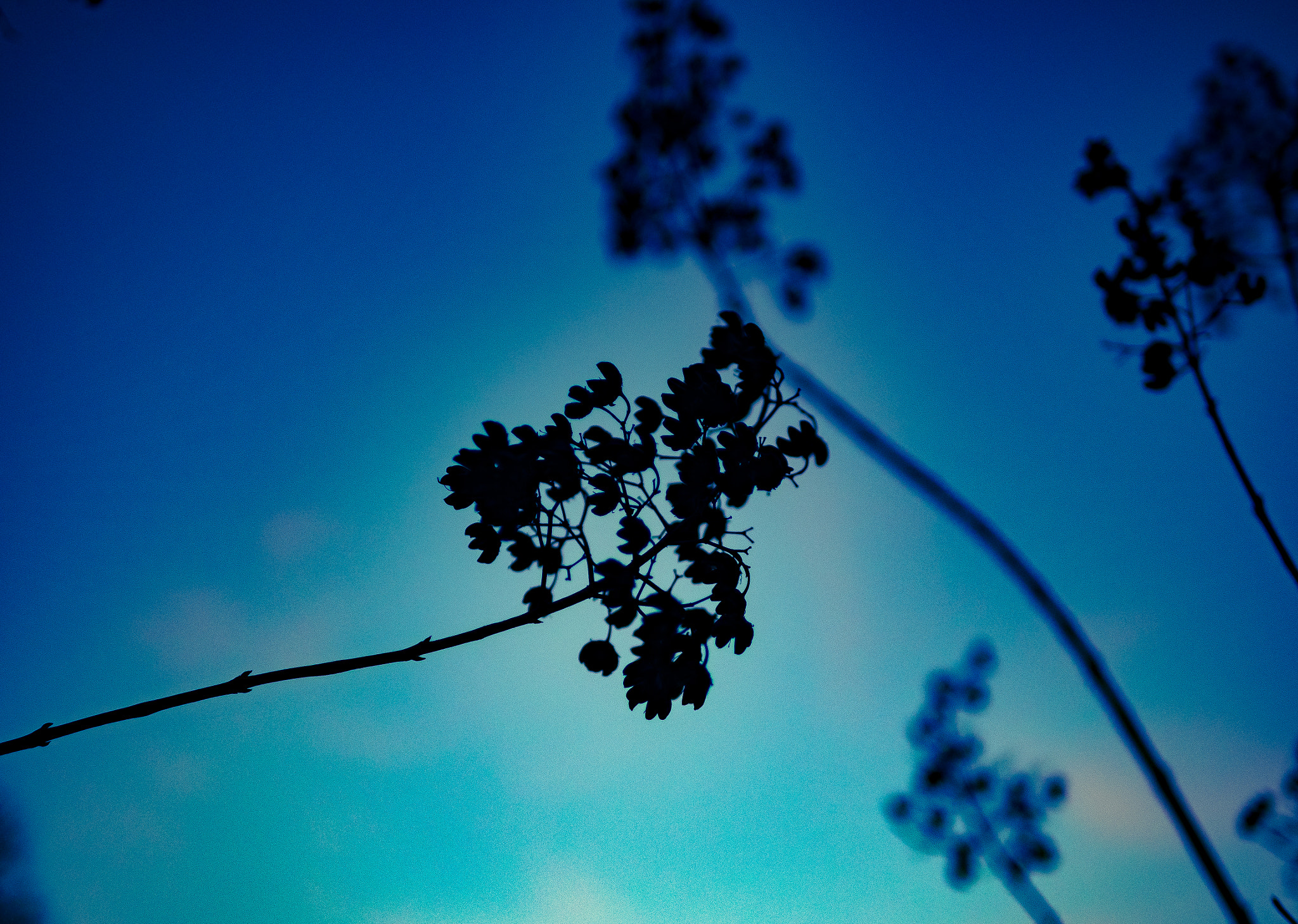 Olympus OM-D E-M1 + Panasonic Leica DG Summilux 25mm F1.4 II ASPH sample photo. Sundown photography