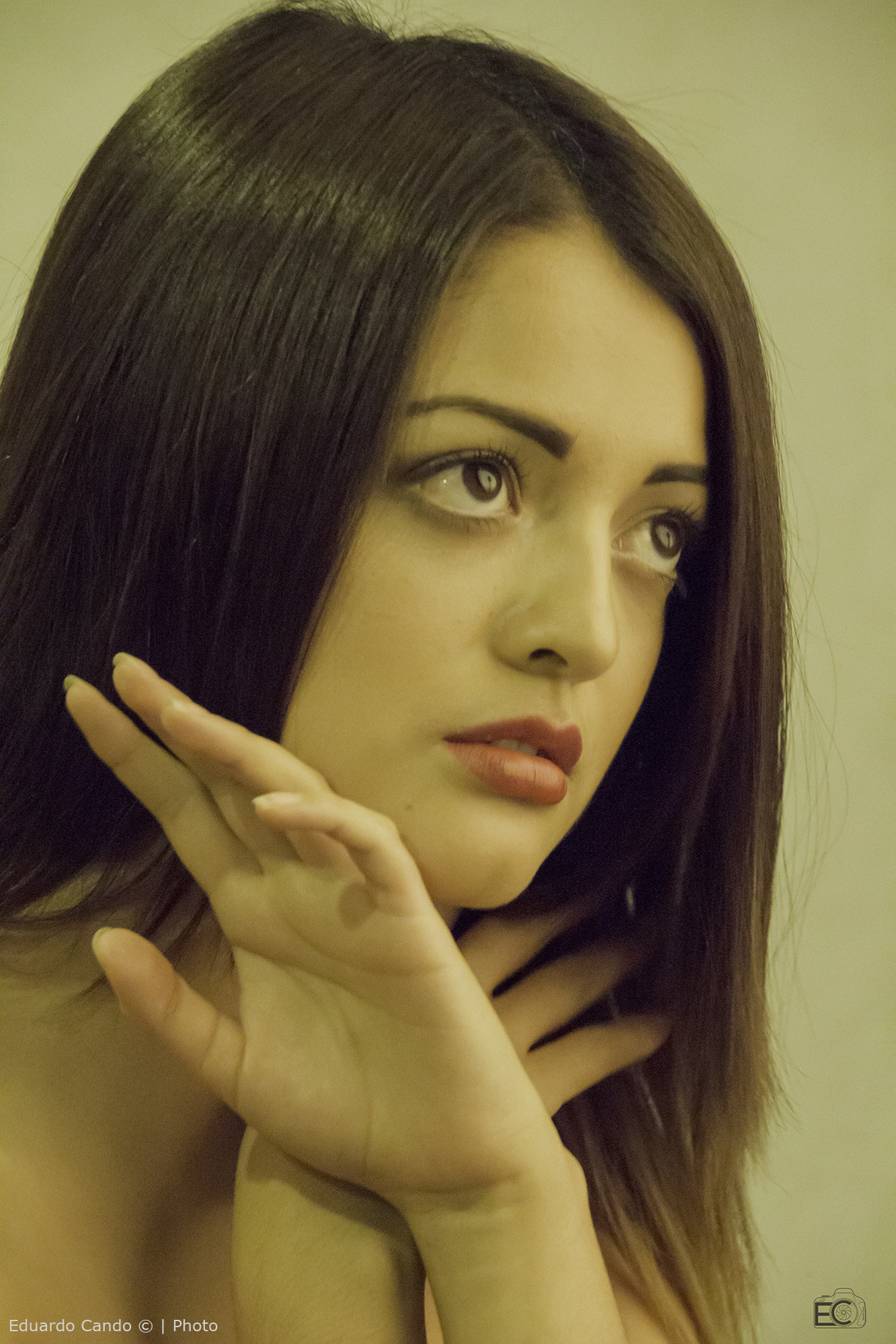 Sigma 18-250mm F3.5-6.3 DC OS HSM sample photo. Bri photography