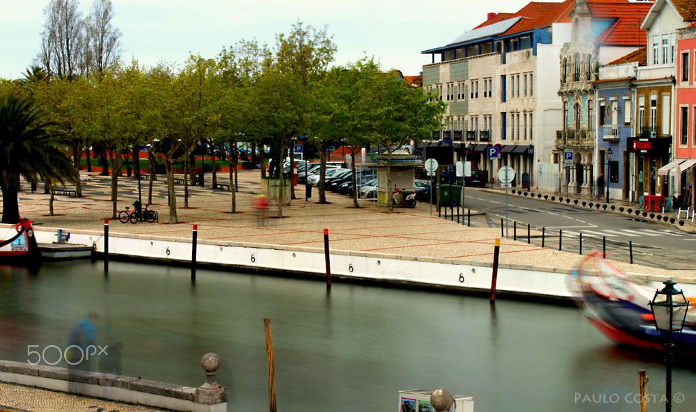 Sony SLT-A58 sample photo. Aveiro num dia de abril (6) photography