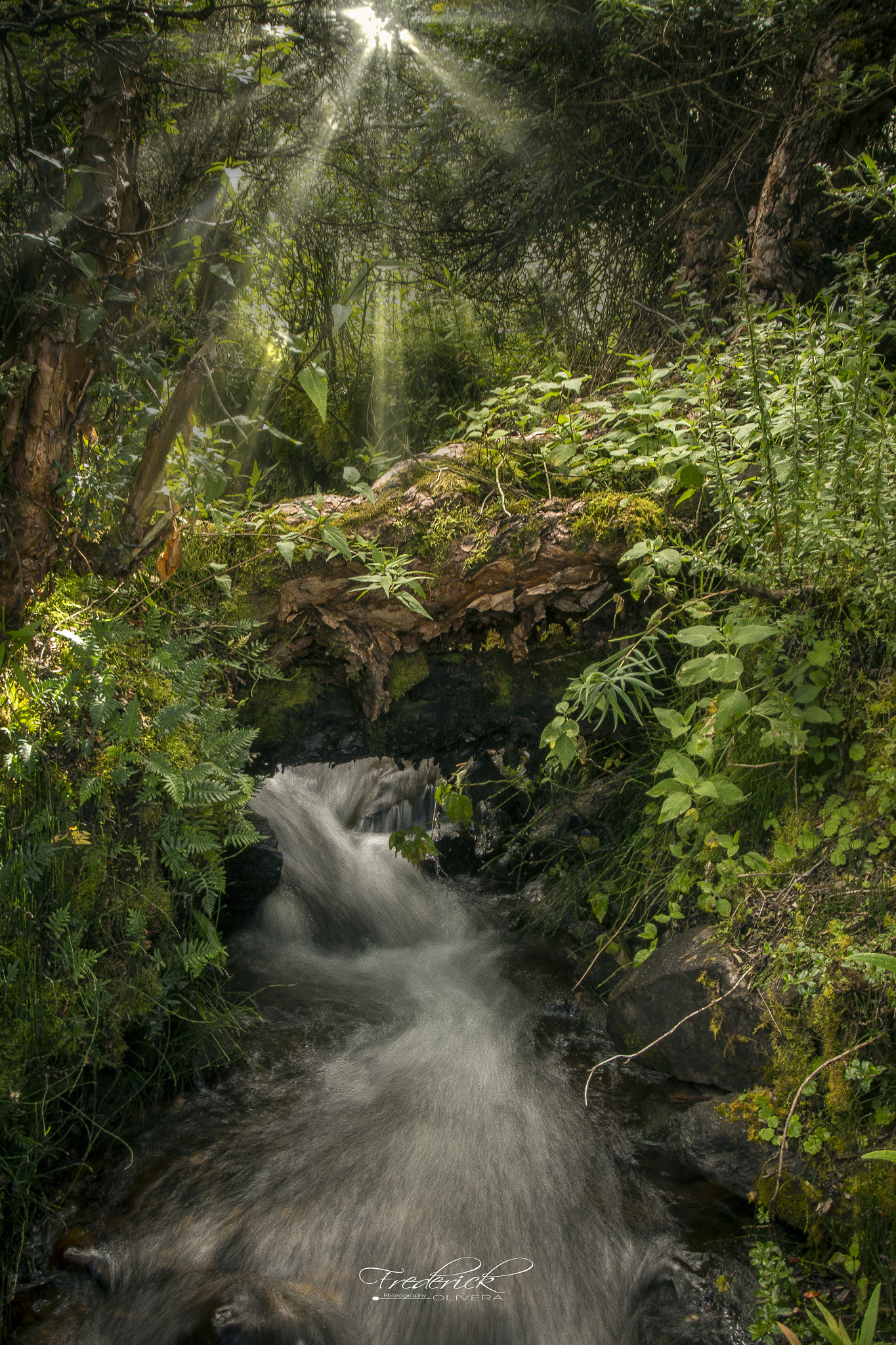 Sigma 20mm EX f/1.8 sample photo. Yanacocha photography