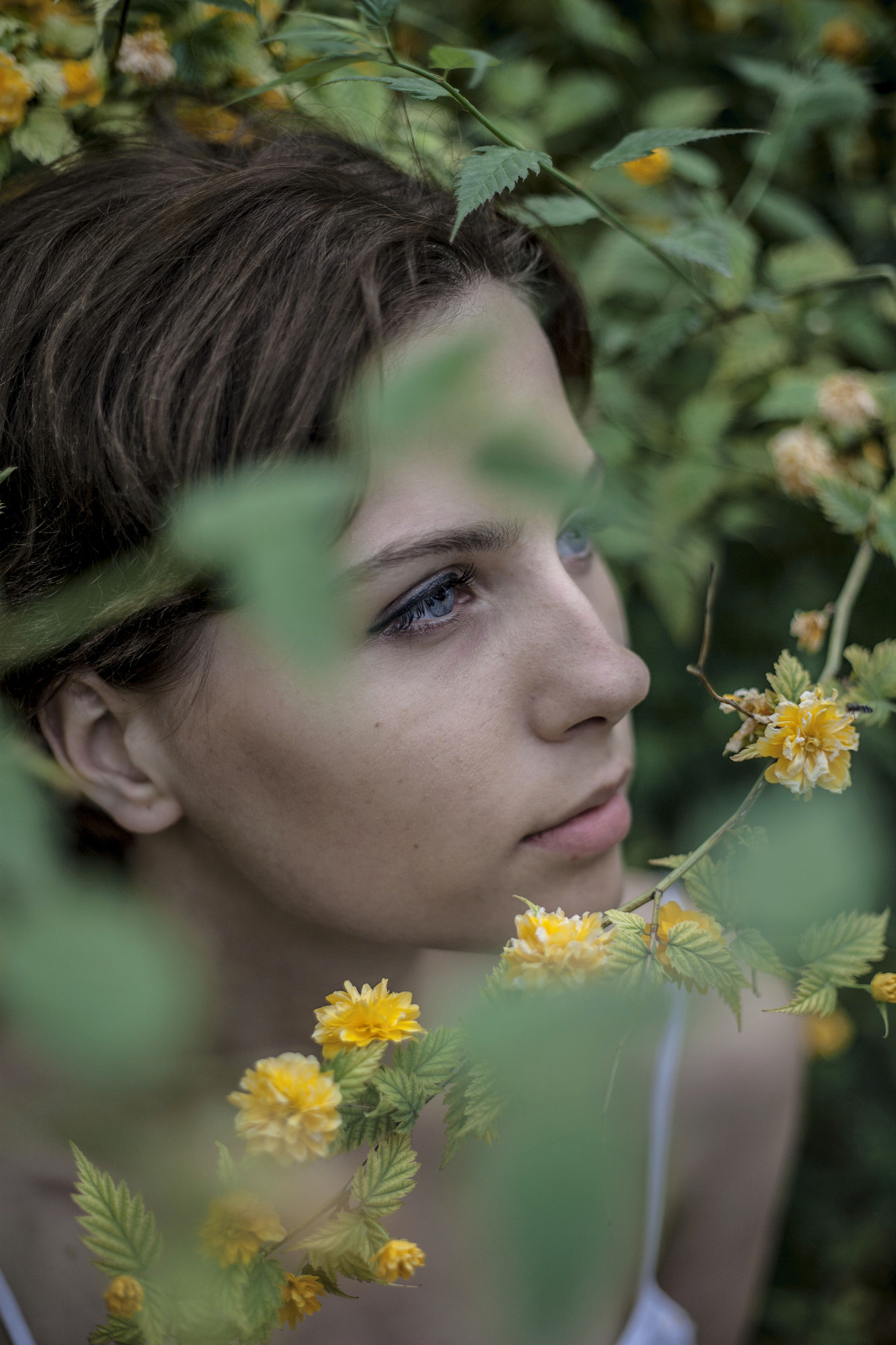 Canon EOS-1Ds Mark II + Canon EF 50mm F1.8 II sample photo. Flower girl photography