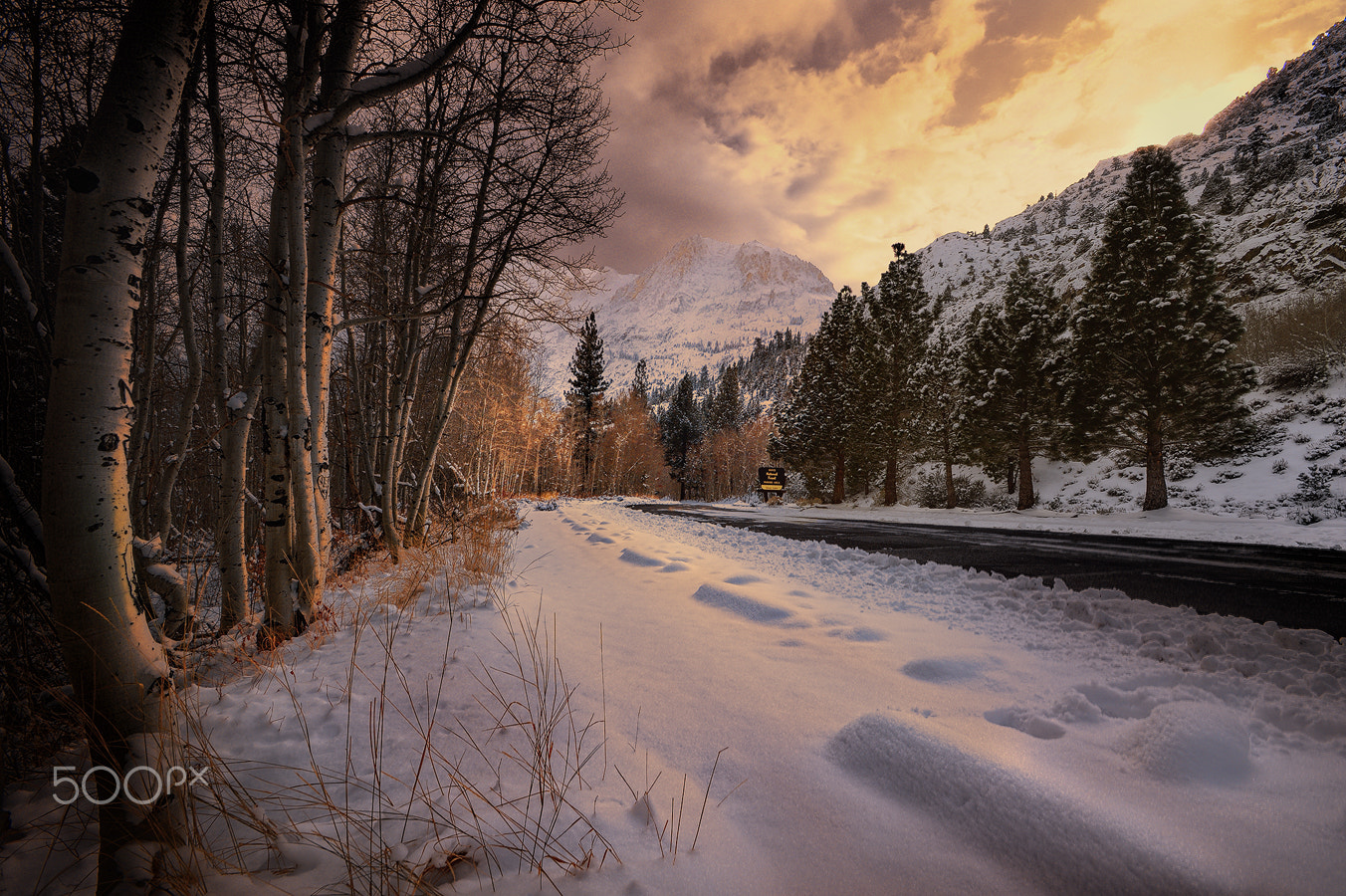 Nikon AF-S Nikkor 17-35mm F2.8D ED-IF sample photo. Winter photography