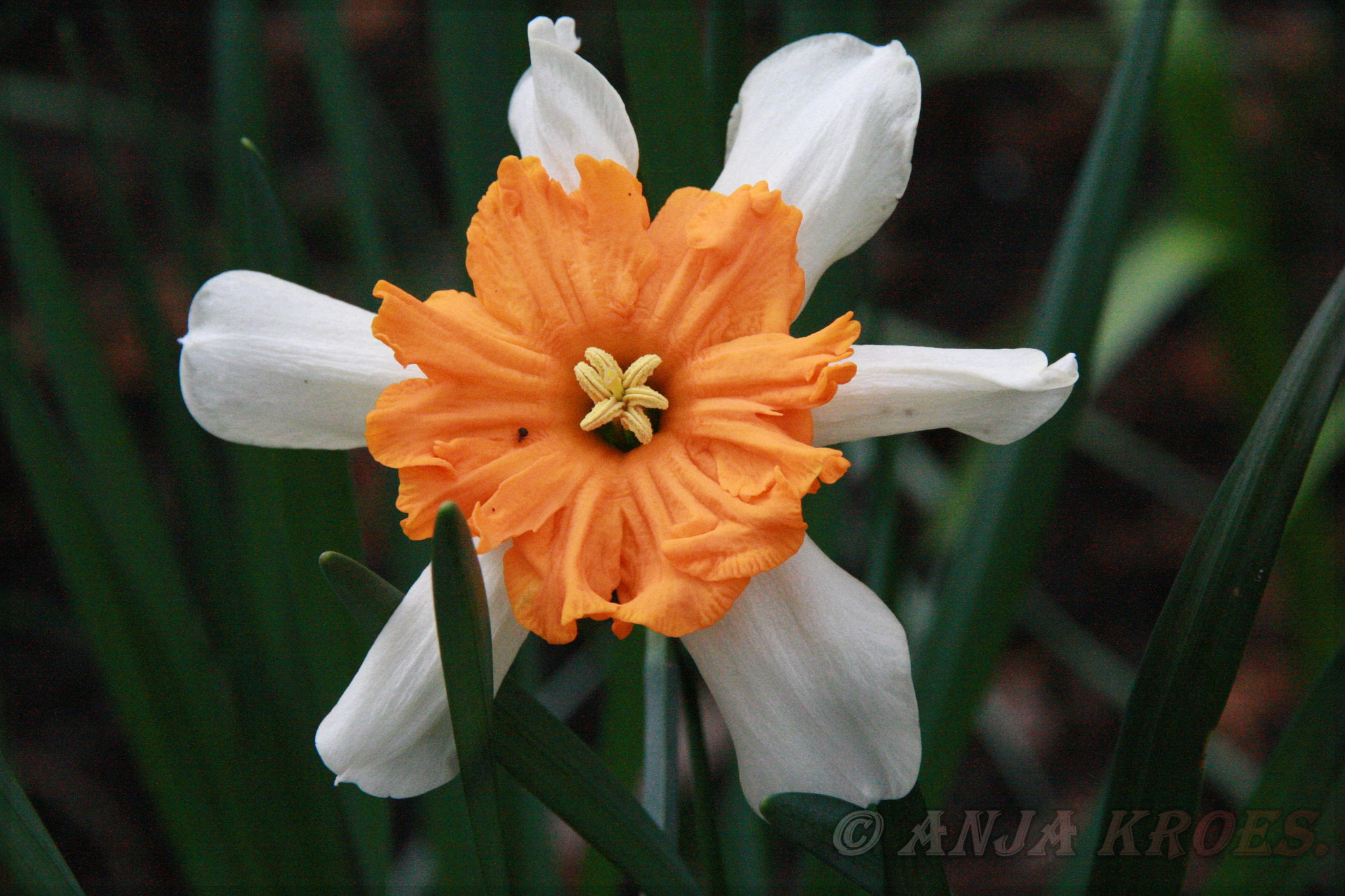 Canon EOS-1D Mark III sample photo