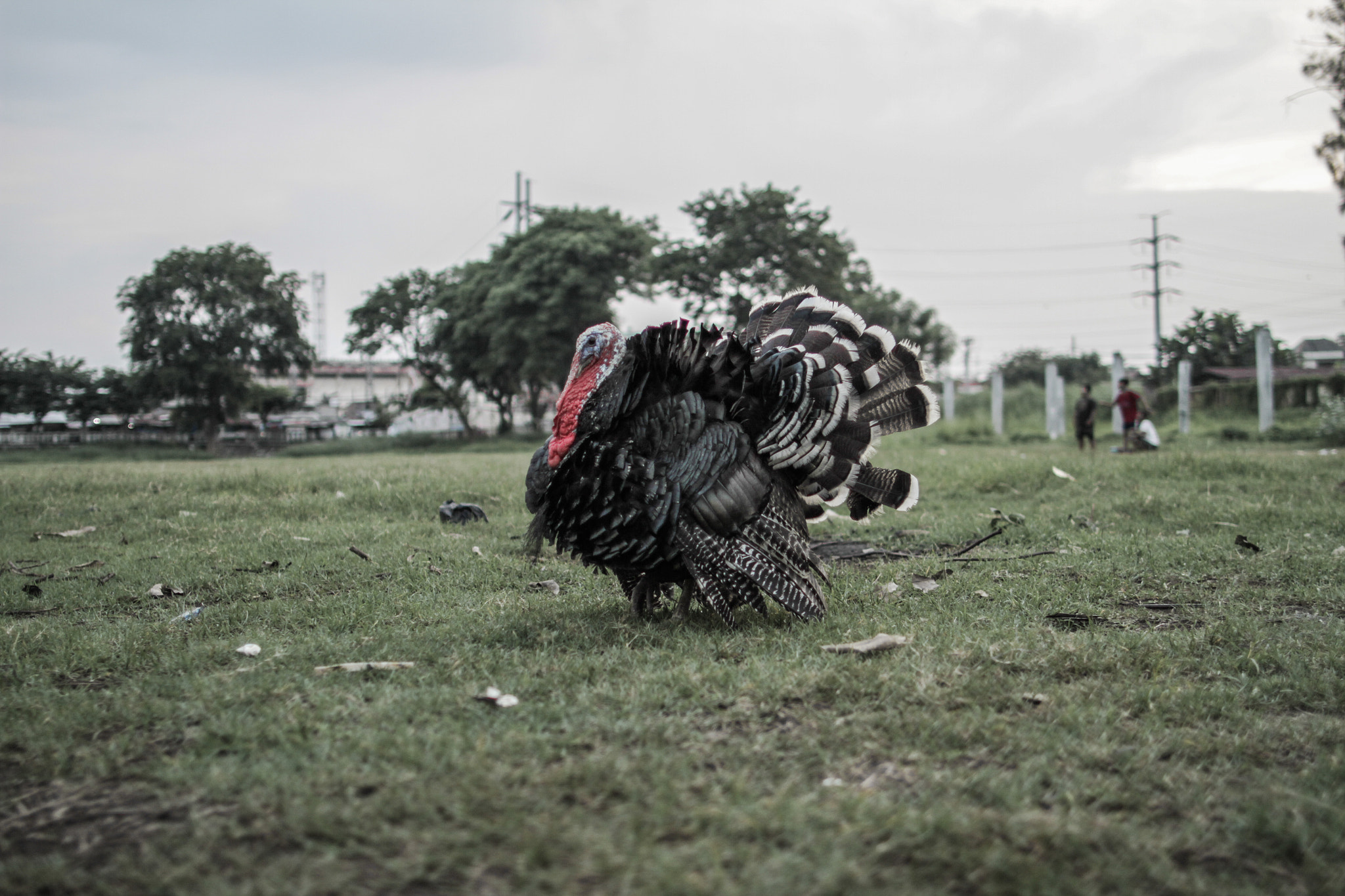 Canon EOS 7D + Canon EF 24mm F1.4L II USM sample photo