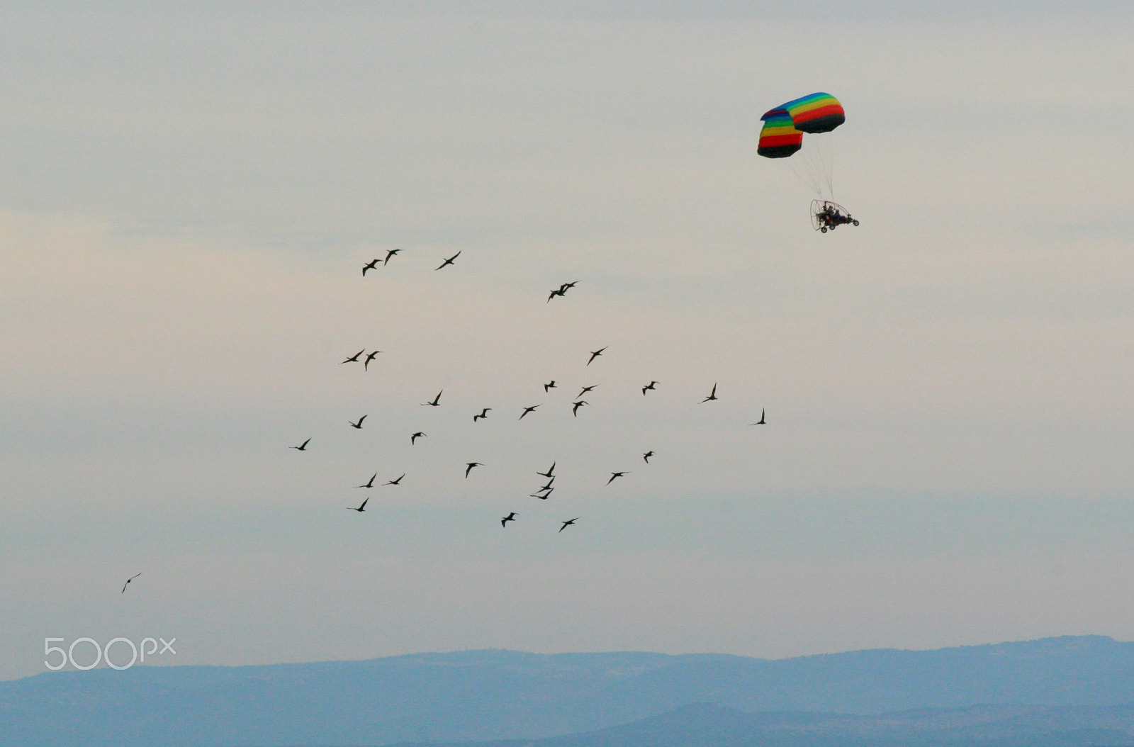 Canon EF 75-300mm F4.0-5.6 IS USM sample photo. Follow the leader  photography