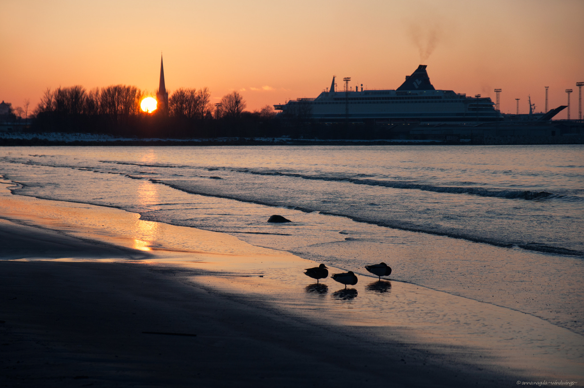 Nikon D90 + Sigma 17-70mm F2.8-4 DC Macro OS HSM | C sample photo. At sunset photography