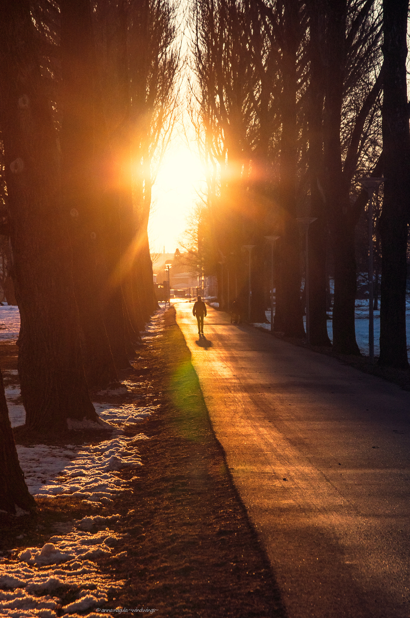 Nikon D90 + Sigma 17-70mm F2.8-4 DC Macro OS HSM | C sample photo. At sunset photography