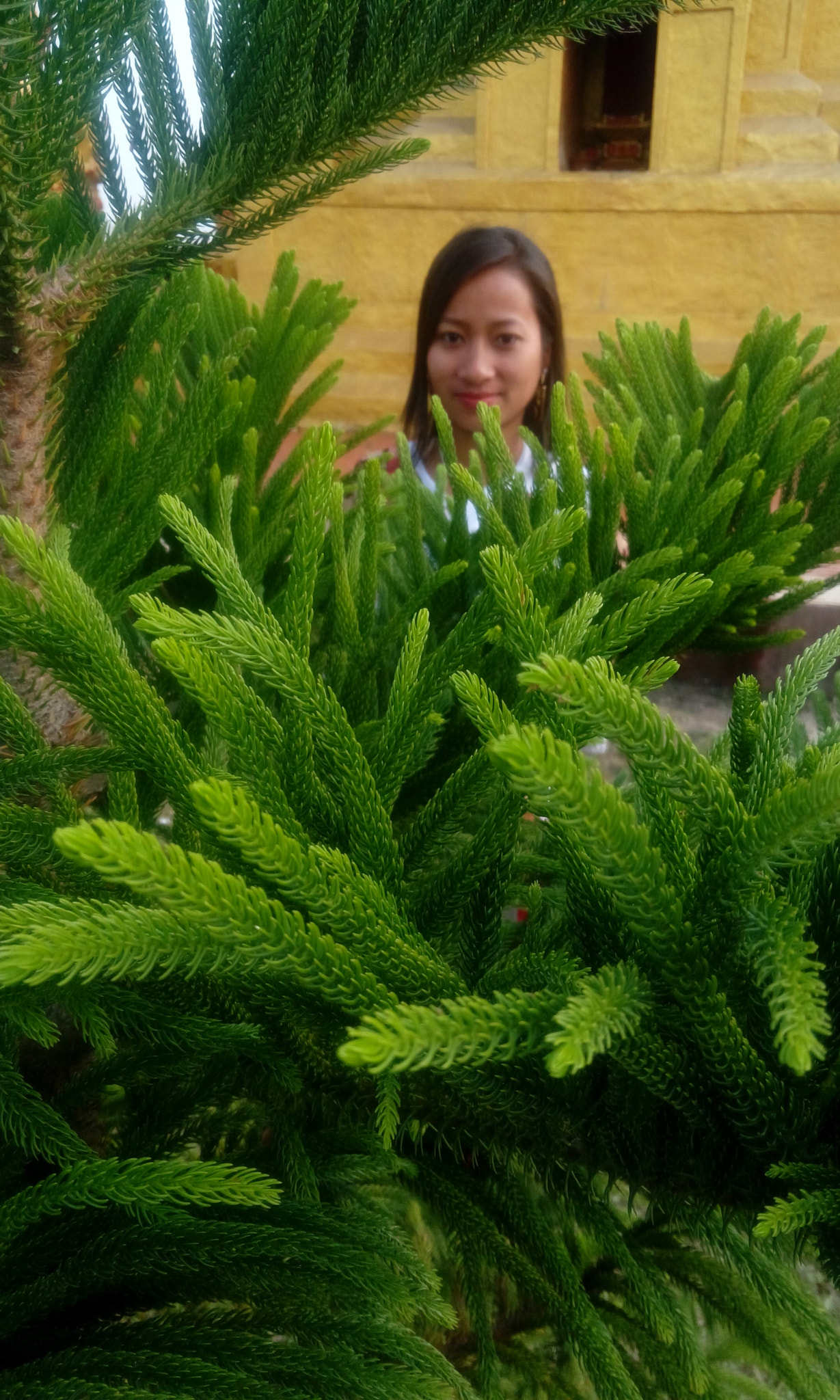 HTC DESIRE 820G PLUS DUAL SIM sample photo