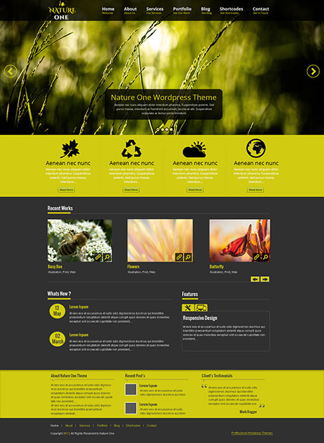 Natureone is a Free Responsive WordPress Theme