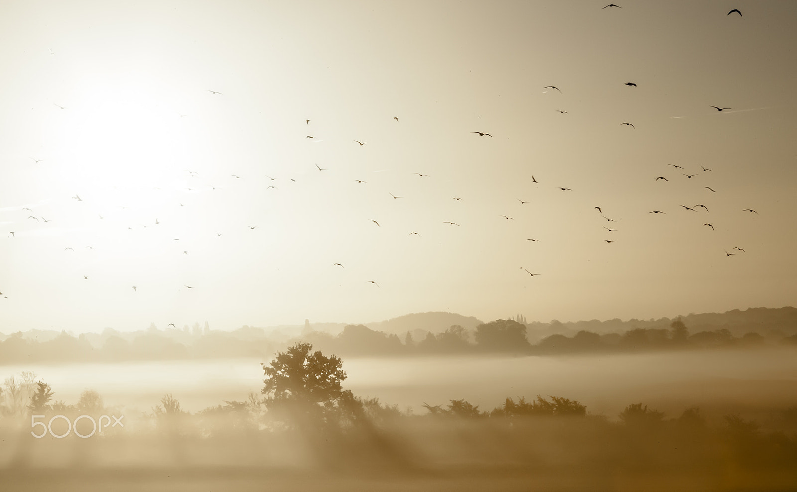Canon EF 28-300mm F3.5-5.6L IS USM sample photo. Sunrise, bishop's stortford photography