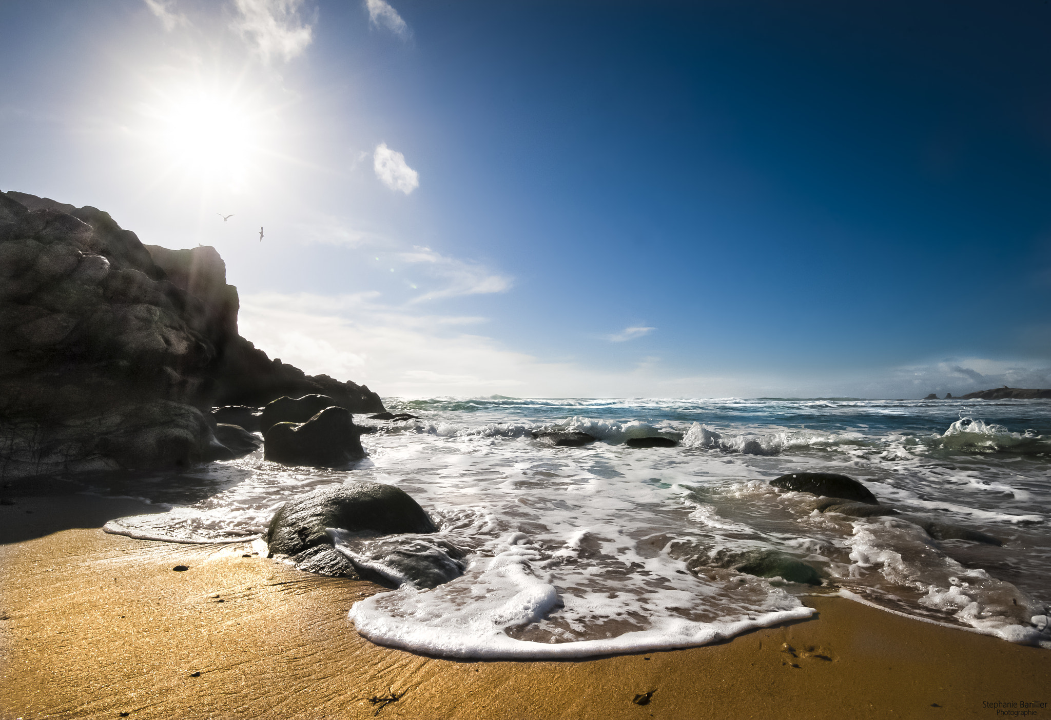 Nikon D3 sample photo. Quiberon, côte sauvage- avril 2016 photography