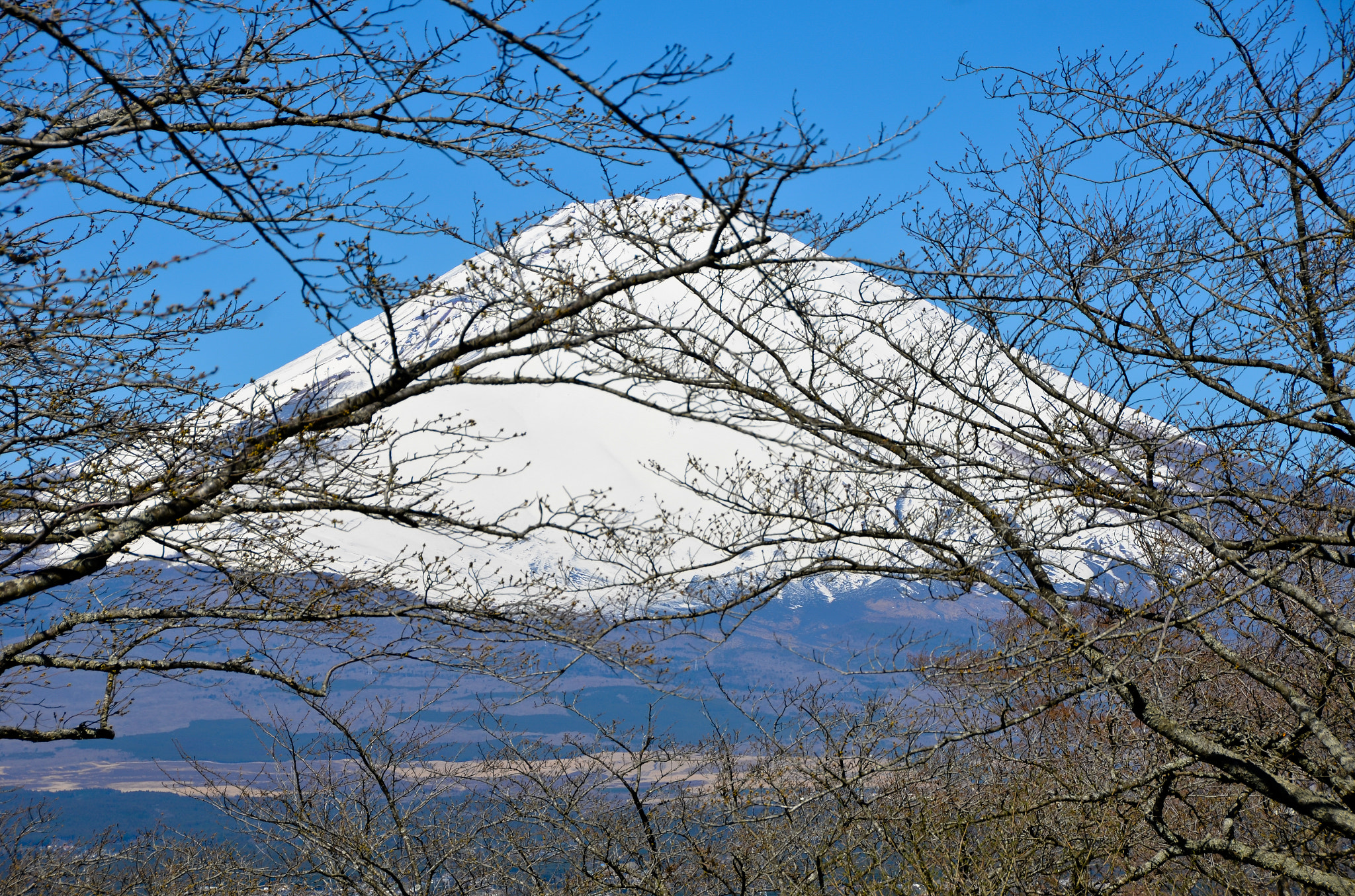 AF Zoom-Nikkor 35-135mm f/3.5-4.5 N sample photo. Mt. fuji photography