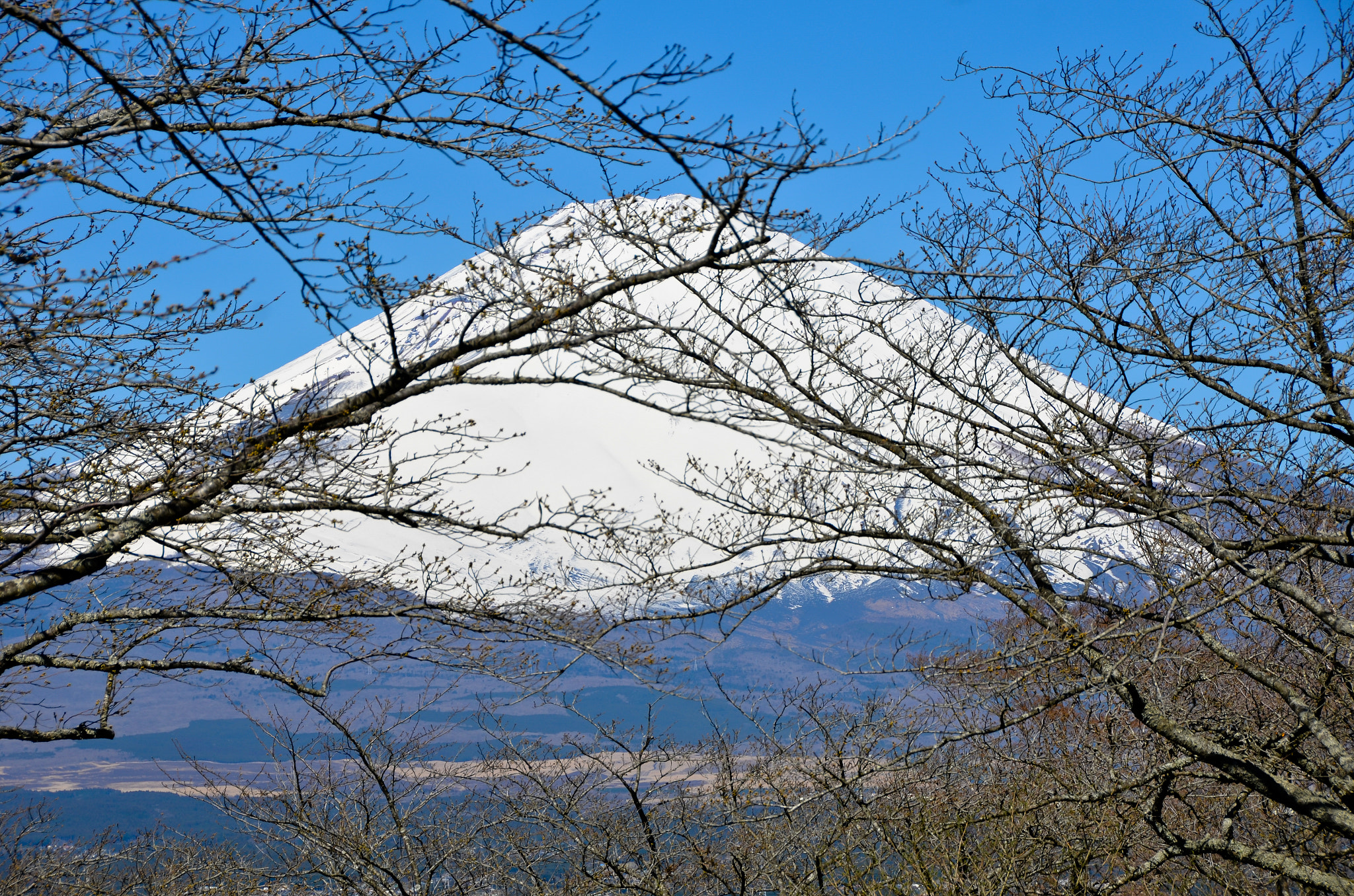 Nikon D7000 + AF Zoom-Nikkor 35-135mm f/3.5-4.5 N sample photo. Mt. fuji photography