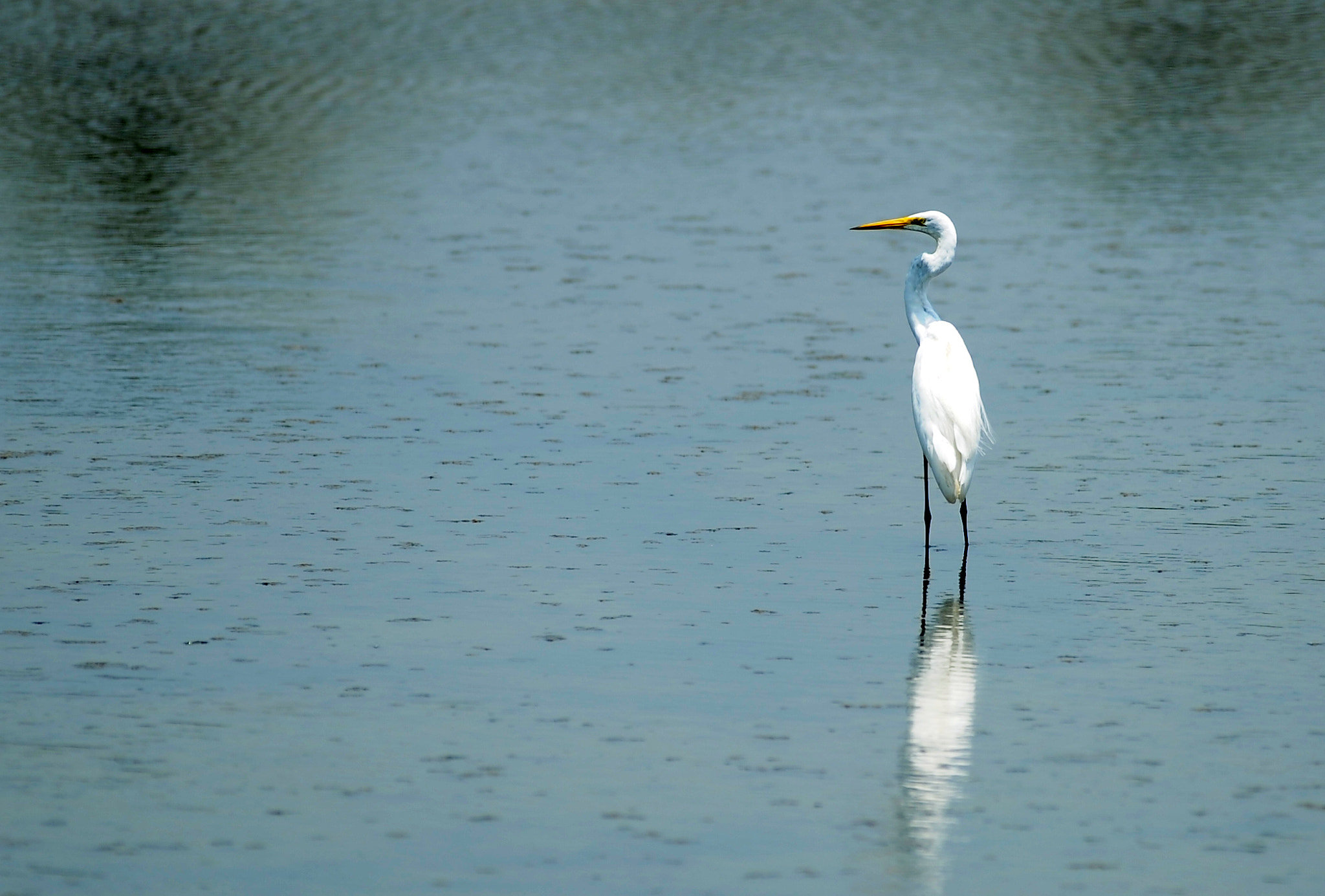 Nikon AF-S Nikkor 300mm F2.8G ED VR II sample photo. On the blue lake photography