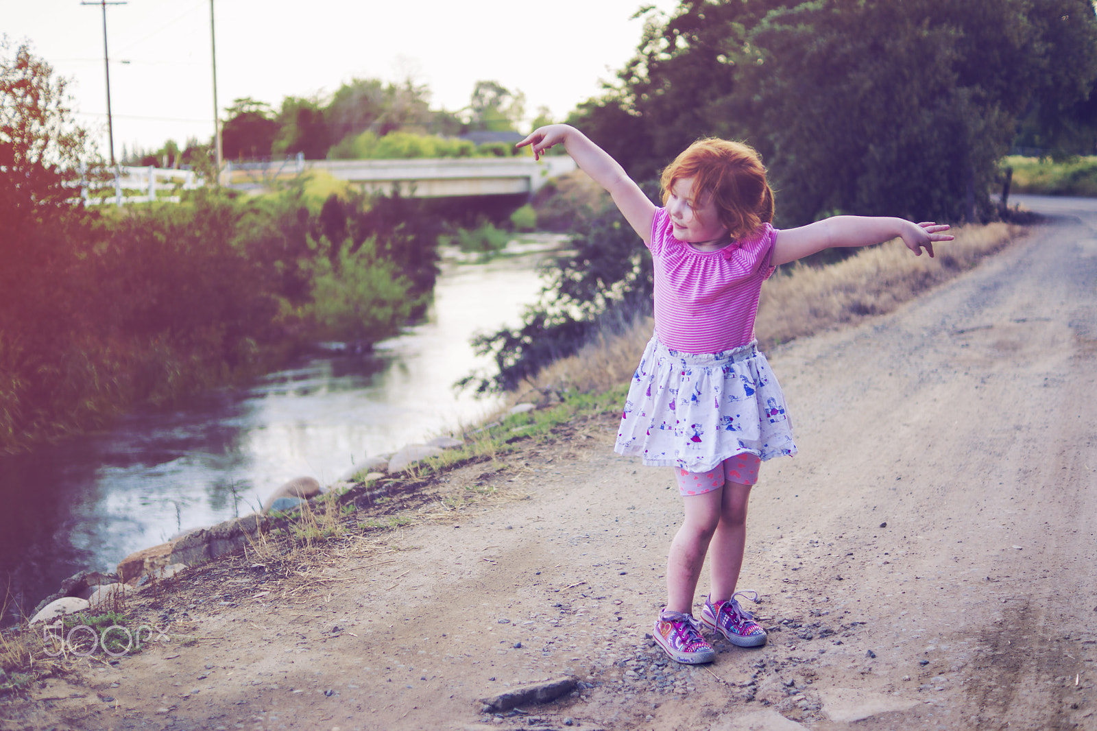 Sony SLT-A77 + Sony DT 35mm F1.8 SAM sample photo. A ladybug by the river photography