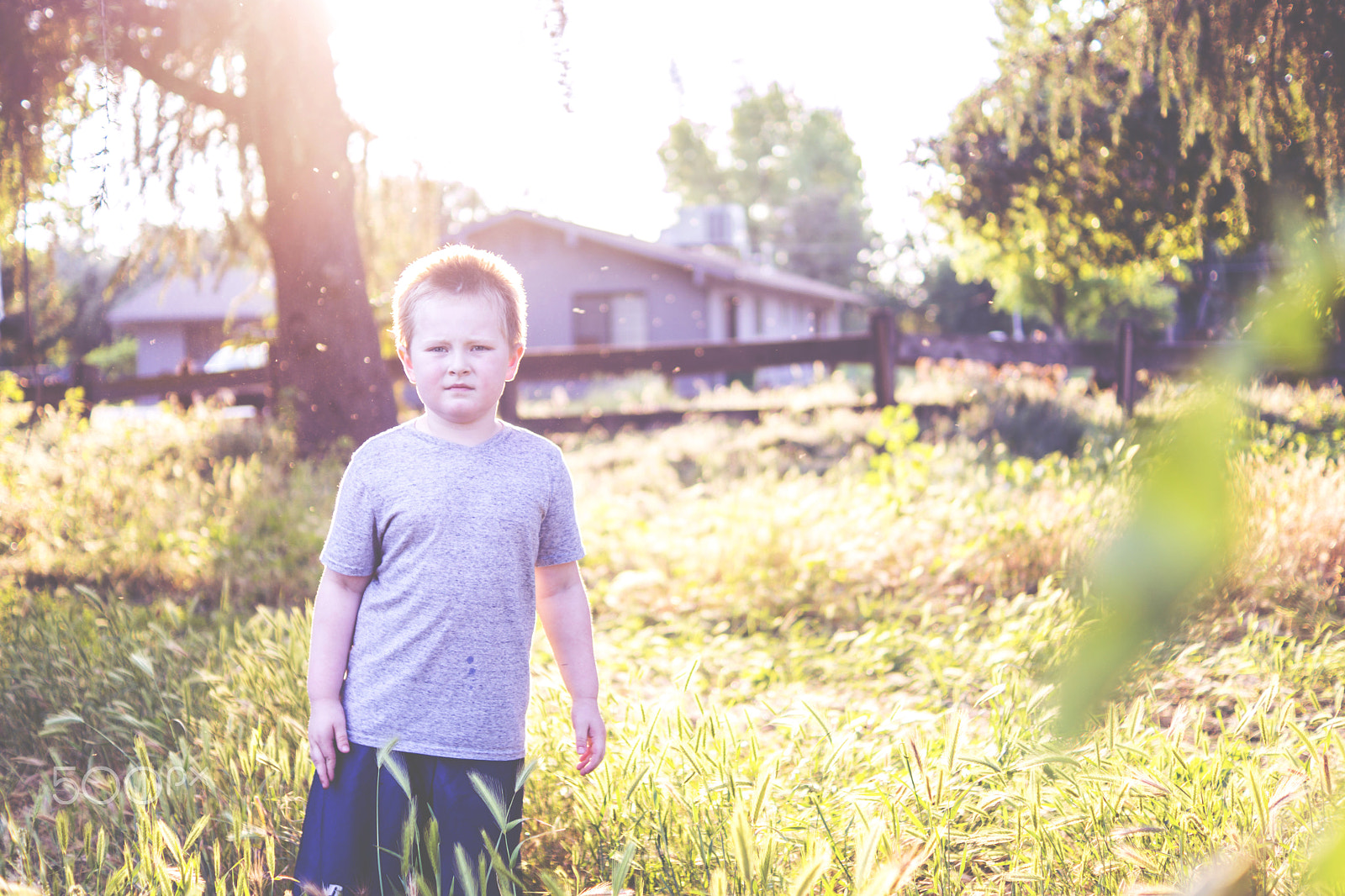 Sony SLT-A77 + Sony DT 35mm F1.8 SAM sample photo. The peaceful ninja photography
