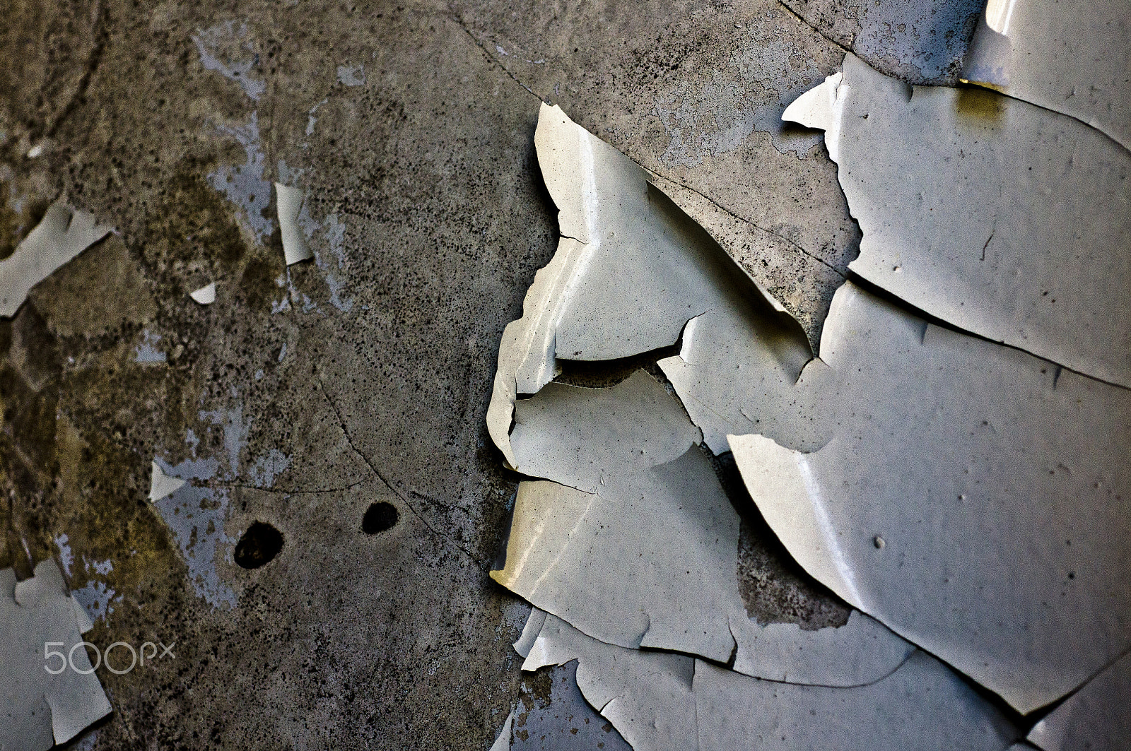 MACRO 50mm F2.8 sample photo. At the old saw mill photography