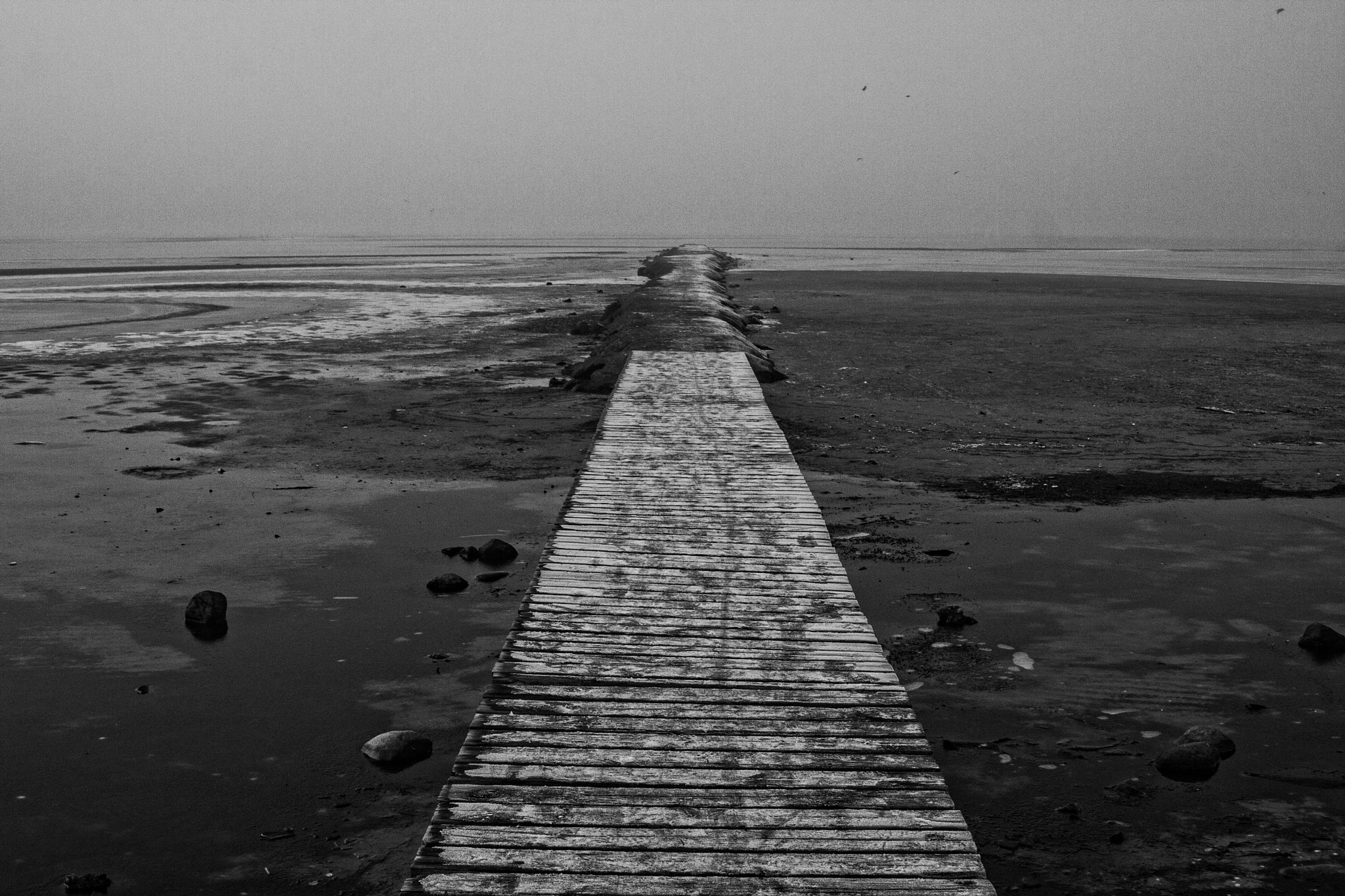 Canon EOS 40D sample photo. Lomma beach on cold and foggy day photography