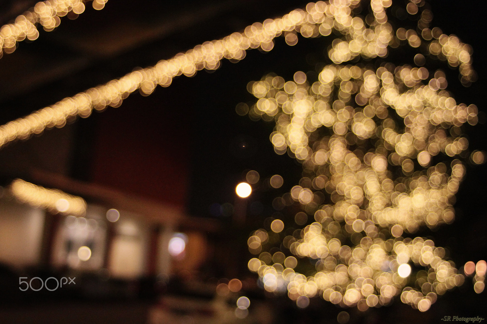 Canon EF 28-80mm f/3.5-5.6 USM IV sample photo. Bokeh photography