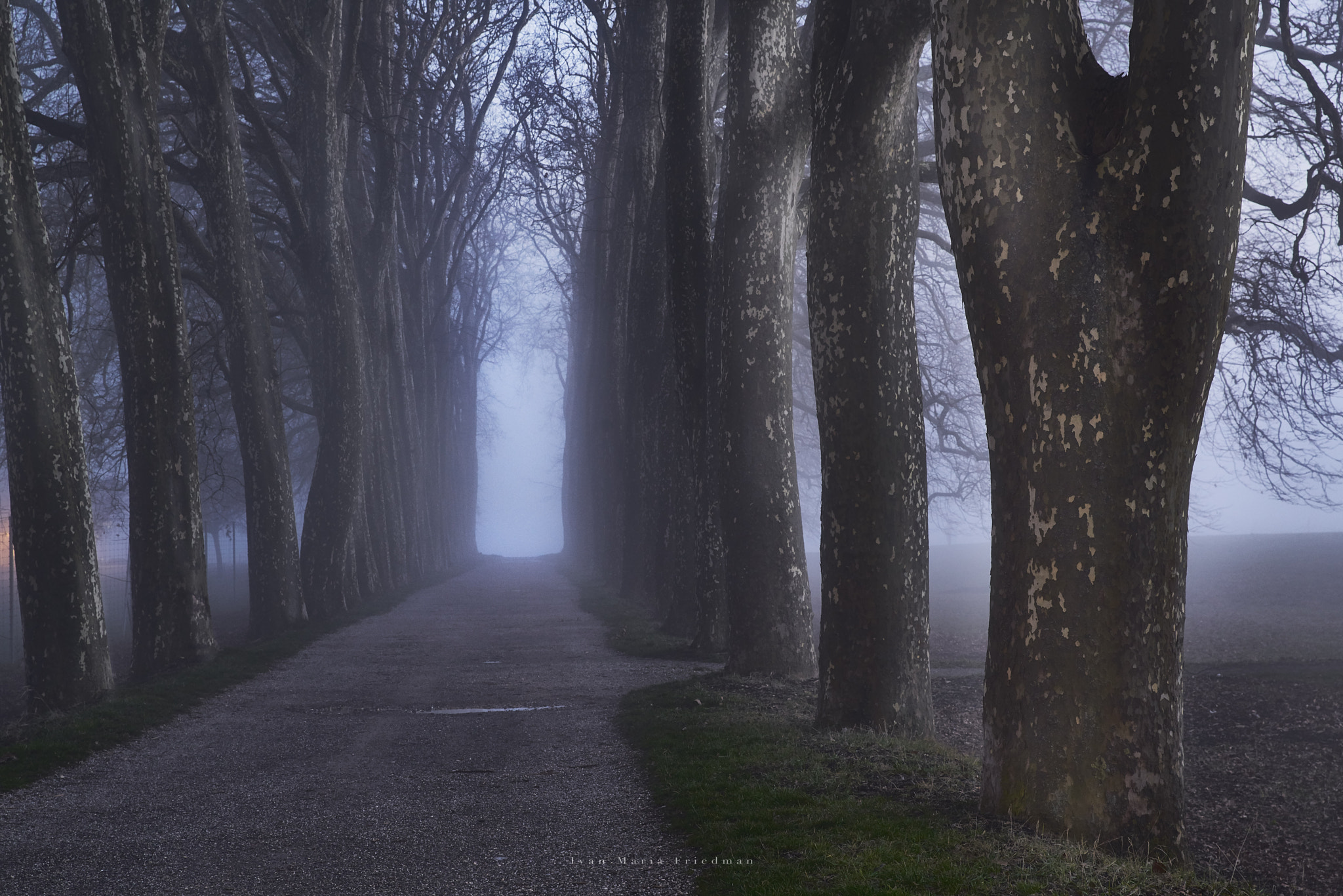 Sony a7R II + 24-70mm F2.8 G SSM II sample photo. Autumn promenade photography