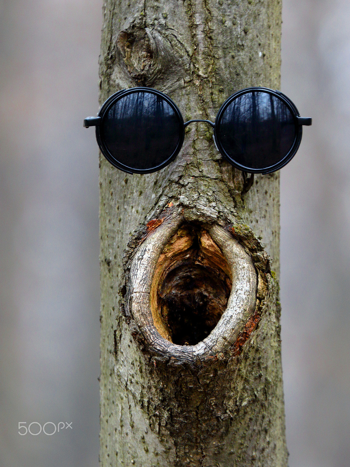 Canon EF 70-300mm F4-5.6L IS USM sample photo. The scream photography
