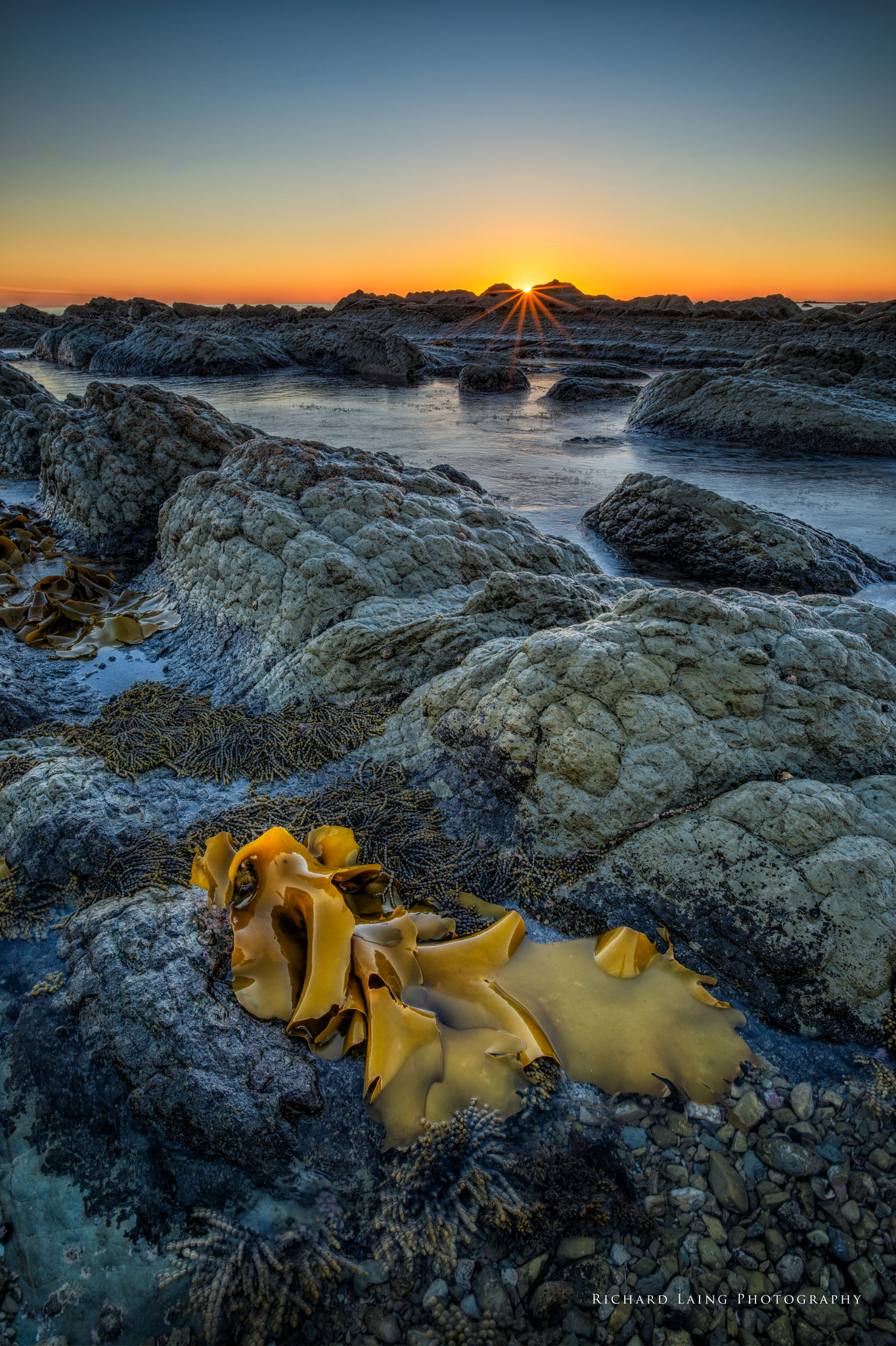 Nikon D800E + Nikon AF-S Nikkor 20mm F1.8G ED sample photo. Kaikoura sunrise photography