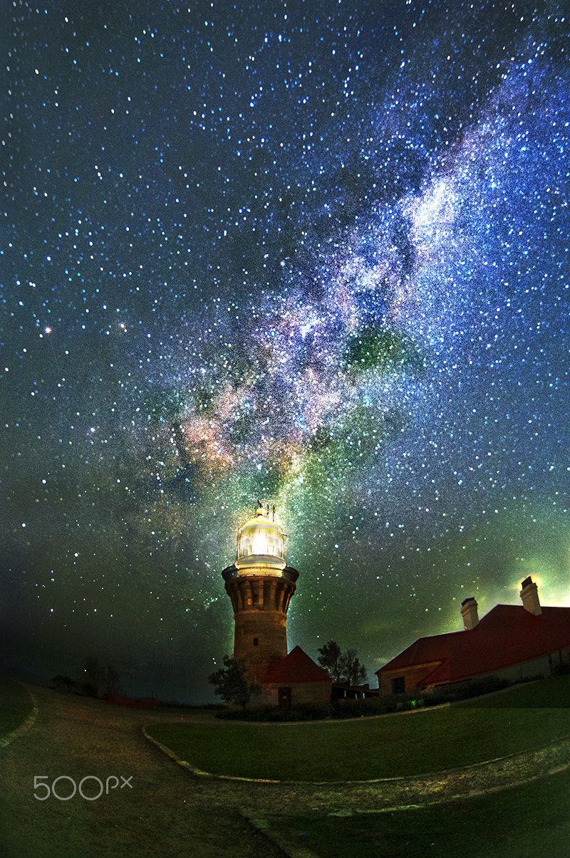 Nikon AF DX Fisheye-Nikkor 10.5mm F2.8G ED sample photo. Palm beach star a photography