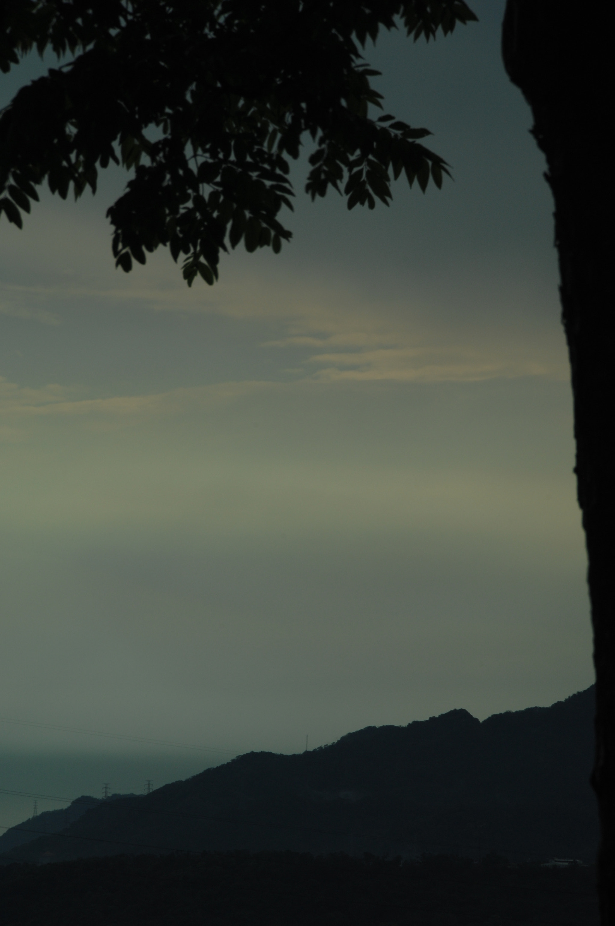 Nikon D2X sample photo. .. photography