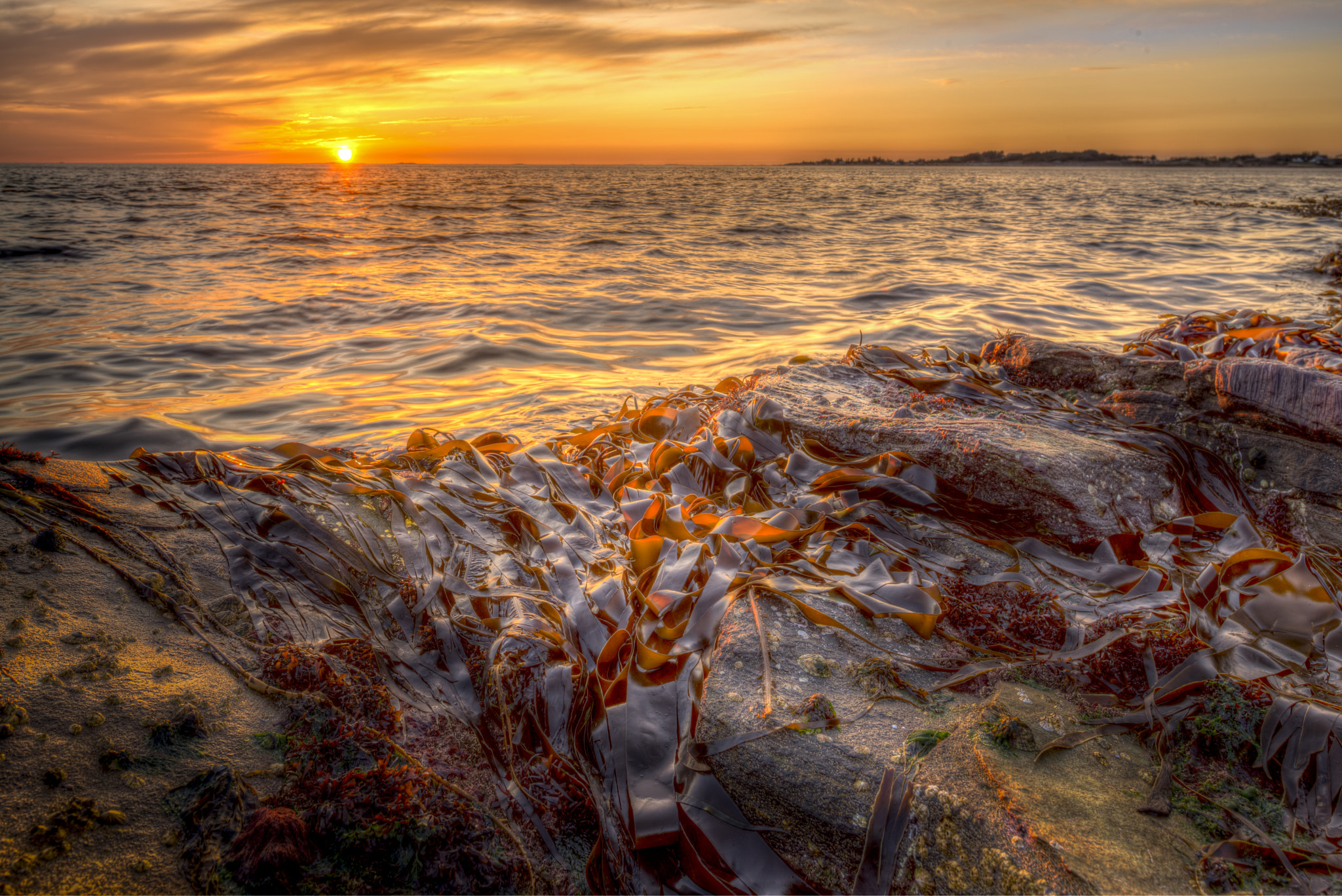 Nikon D800 + Nikon PC-E Nikkor 24mm F3.5D ED Tilt-Shift sample photo. Low tide photography