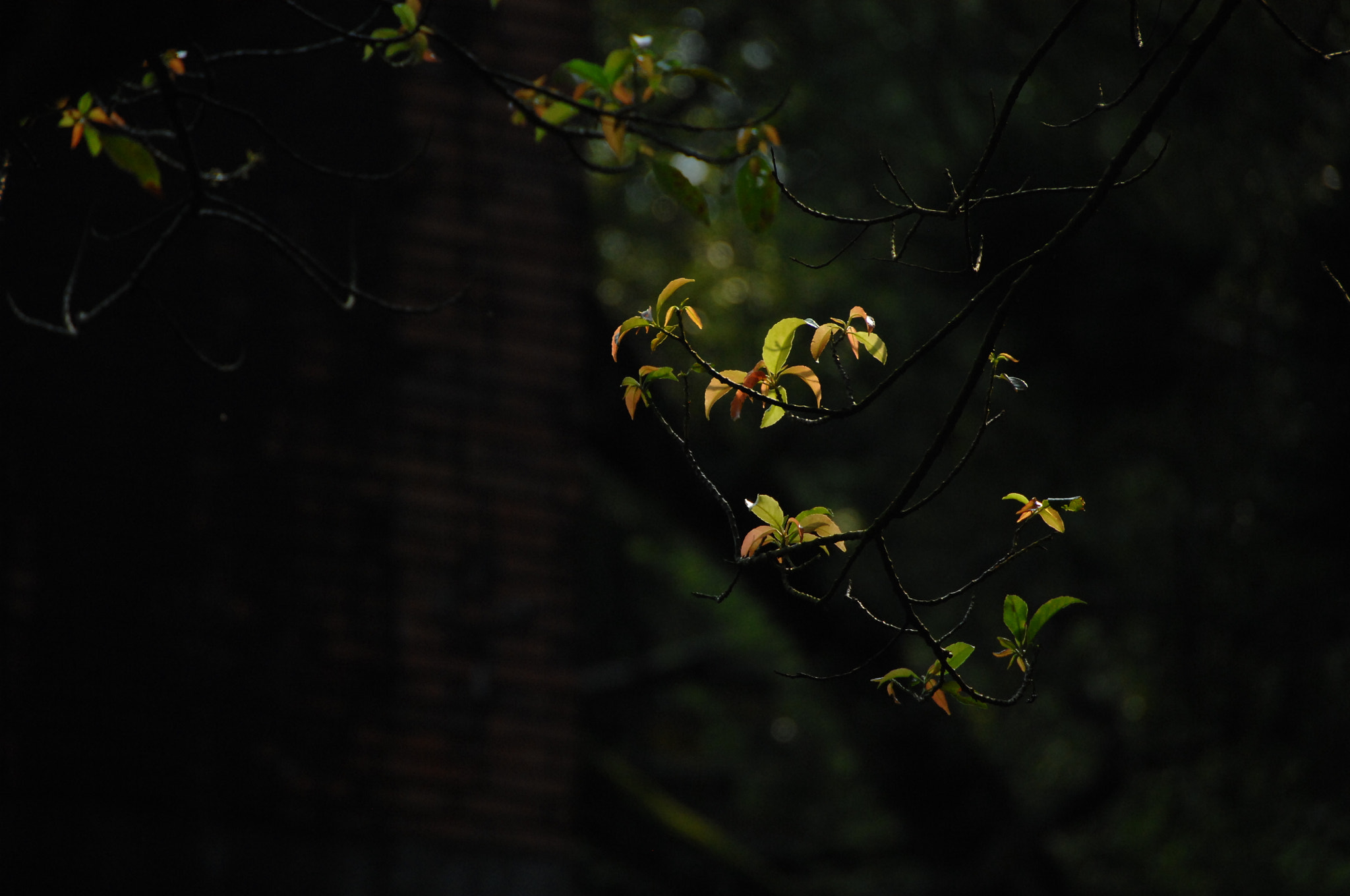 Nikon D2X sample photo. .. photography