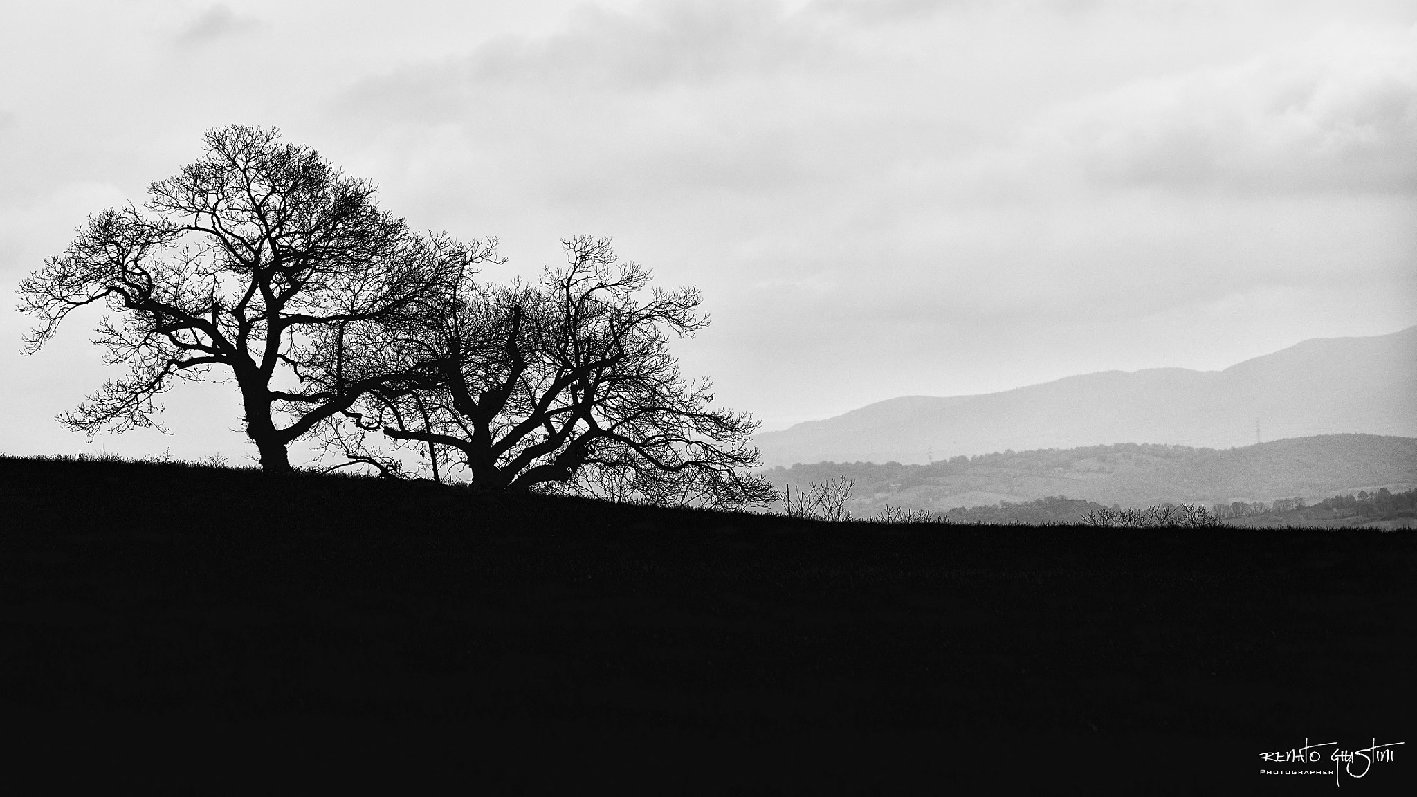 AF DC-Nikkor 135mm f/2 sample photo. Alberi spogli d'inverno photography