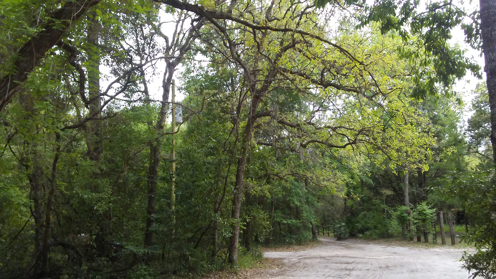 LG M1 sample photo. Country peace photography