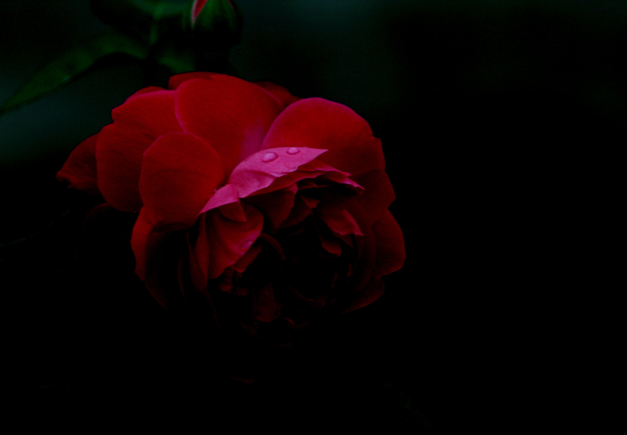 Canon EF 75-300mm f/4-5.6 USM sample photo