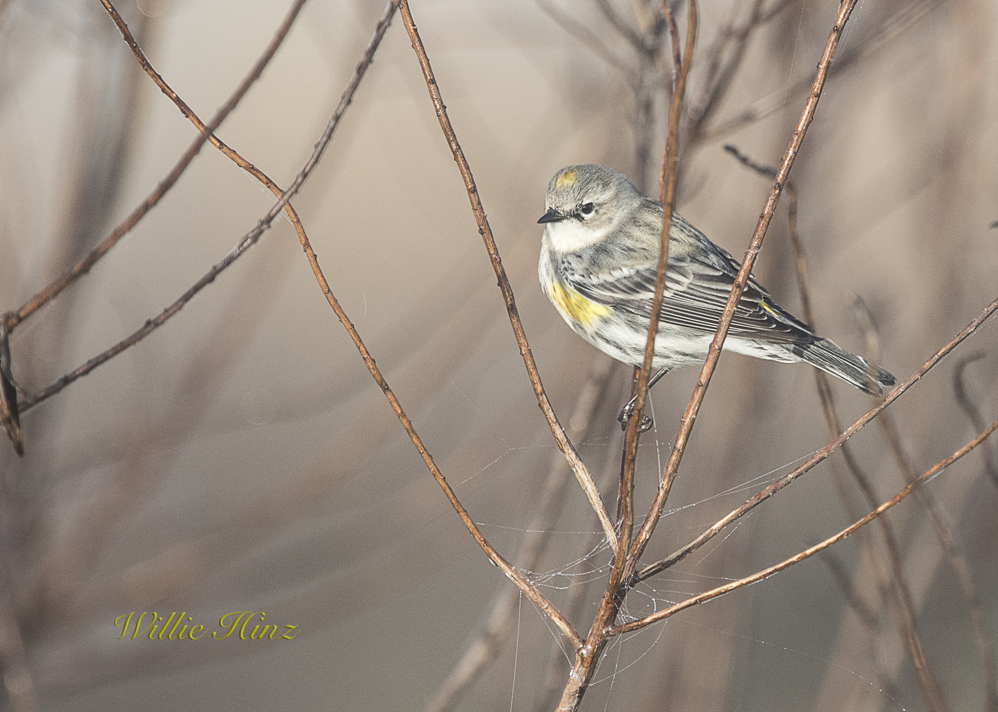 Canon EF 400mm F4.0 DO IS USM sample photo. Ix9a2684.jpg photography